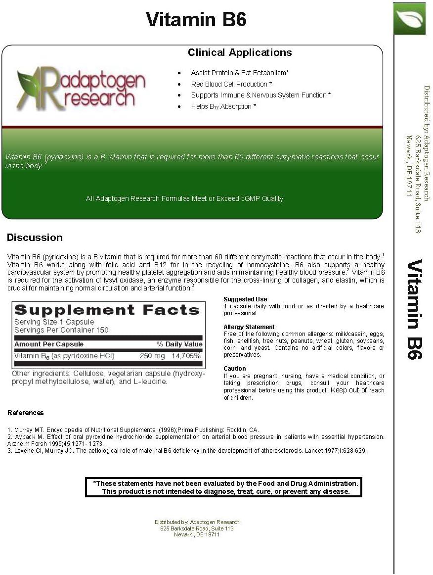 High Potency Vitamin B6 (Pyridoxine HCL) - 250mg | Supports Energy ...