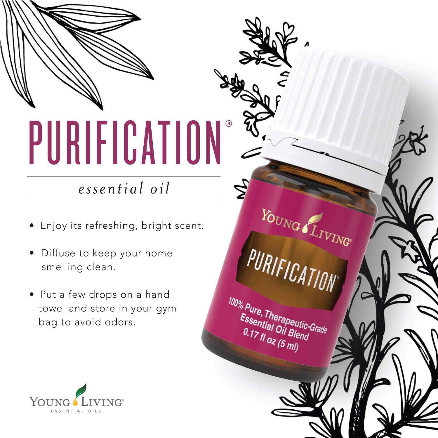 Young Living Purification Essential Oil Blend - formulated with 6 Essential  Oils - 5 ml