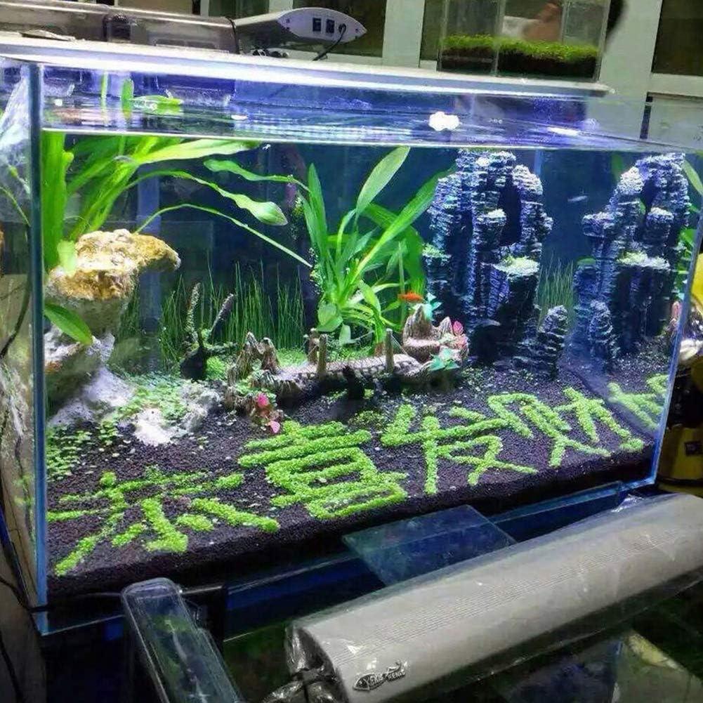 Aquarium Plants Live 3 Bags Aquarium Plant Seeds - Tiny Leaf & Long Hair  Grass Seeds For Freshwater Fish Tanks, Not Artificial