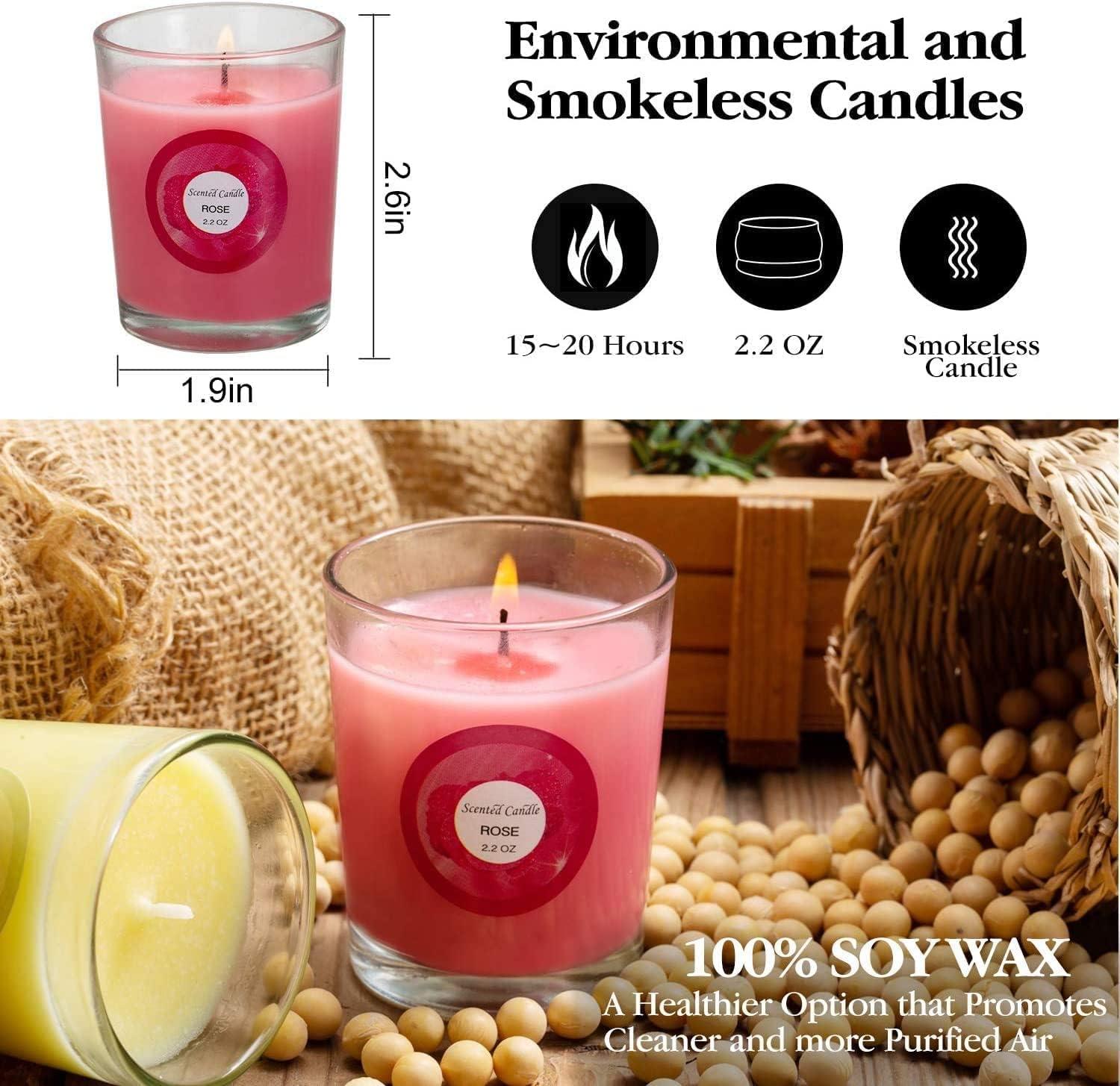20 Pack Strong Scented Candles Gift Set 10 Fragrances for Home