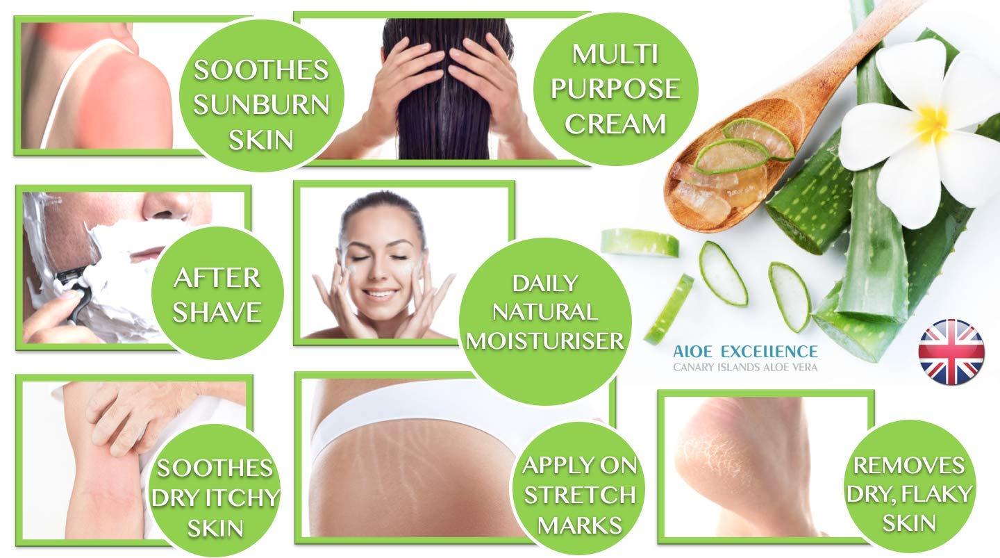 aloe vera saft gastritis Espara Aloe Vera BIO Saft: Immunsystem, Magen-Darm, Stoffwechsel –  Naturpräparate Dieterich