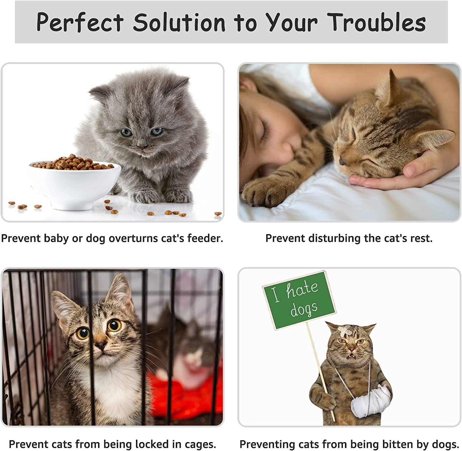 Baby proof deals cat food
