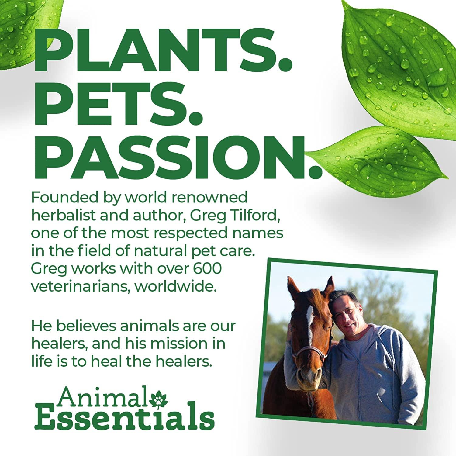 Animal Essentials Milk Thistle Liver Support for Dogs and Cats (Various