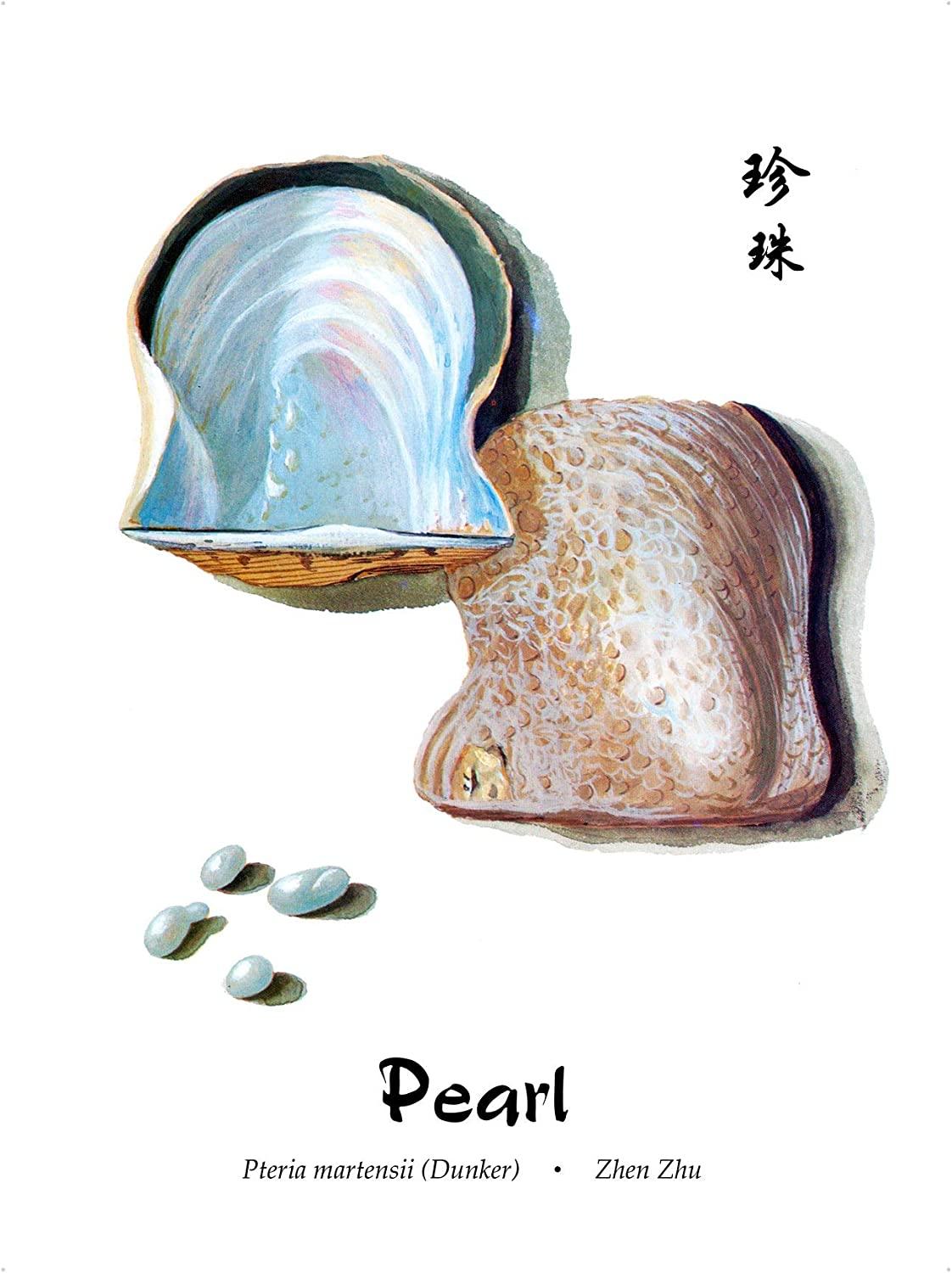 Dragon Herbs - Pearl Capsules - Pure Pearl Powder Supplement to Support  Skin, Eyes, Mood, Anxiety, Stress | All Natural Ingredients, Non-GMO (100