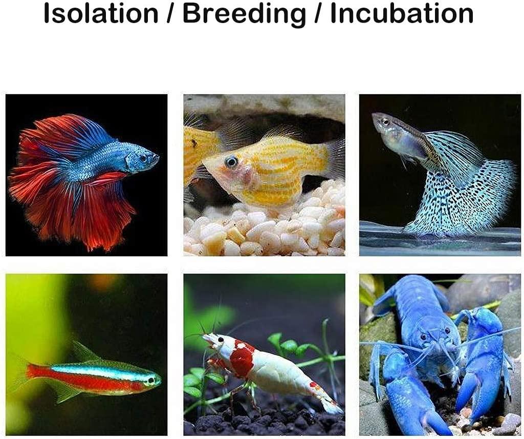 Jstar Aquarium Breeder Box for Fish Tank, Baby Fish Separator