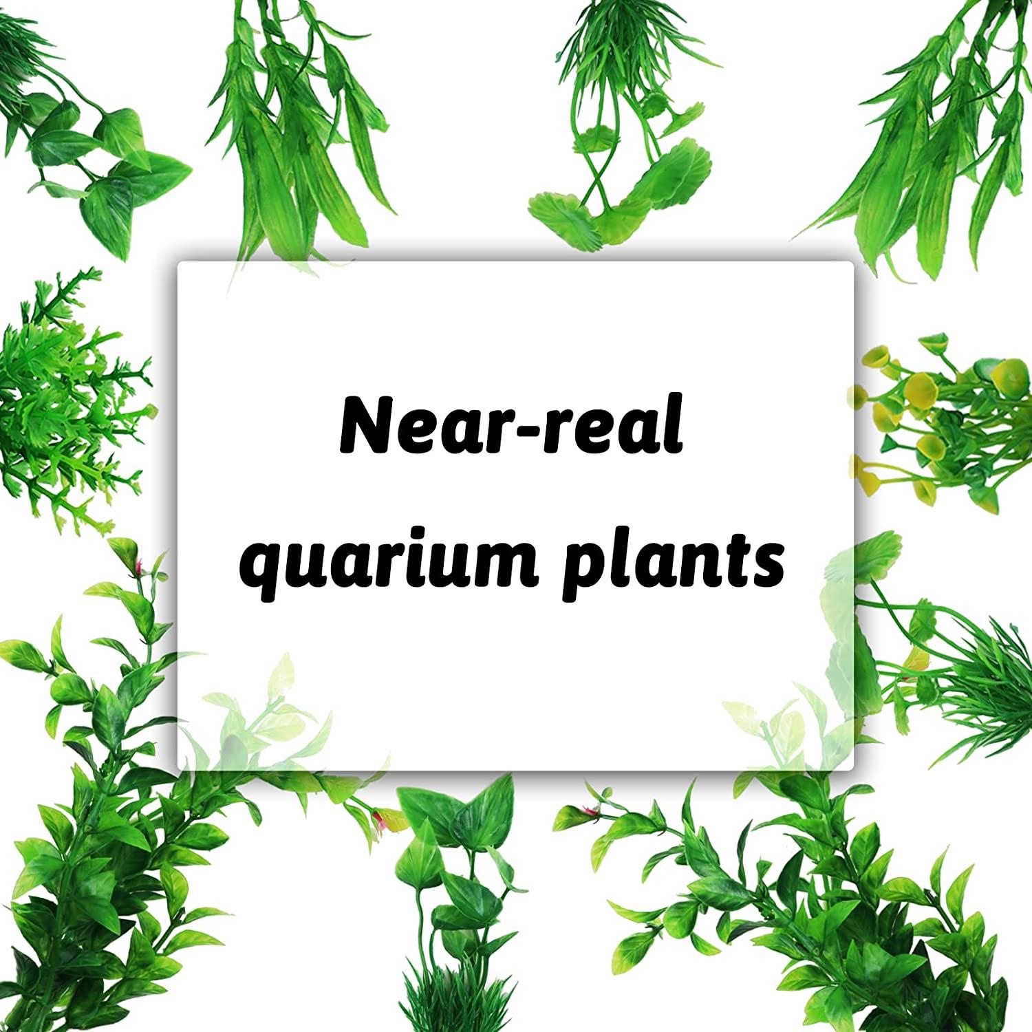 PietyPet 25 Pack Aquarium Plants, Fish Tank Decoration Colorful Artificial  Fish Tank Decorations for Household and Office Aquarium Simulation, Small
