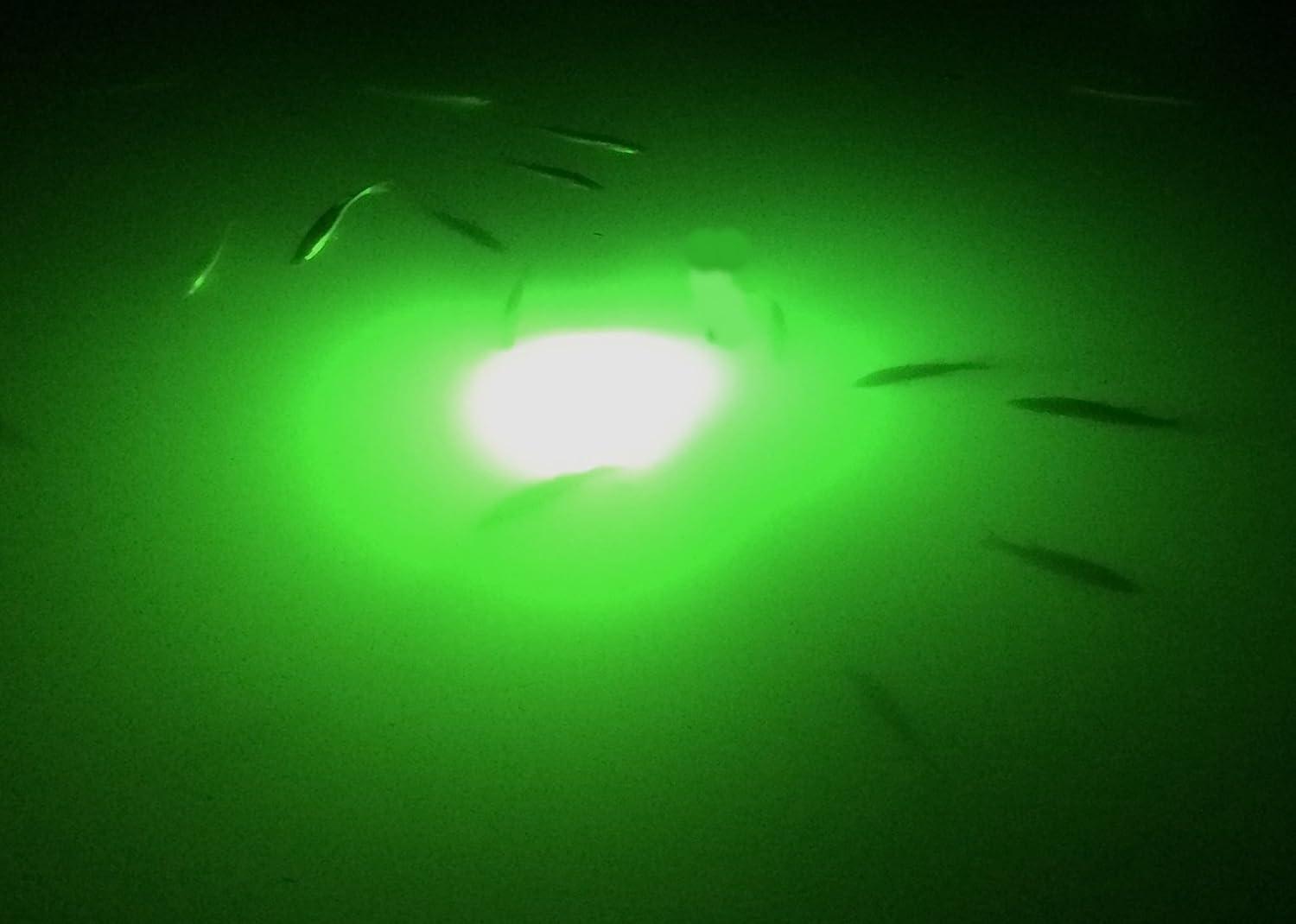 Fire Water Marine 12V 25 MAXX LED Green Underwater Submersible