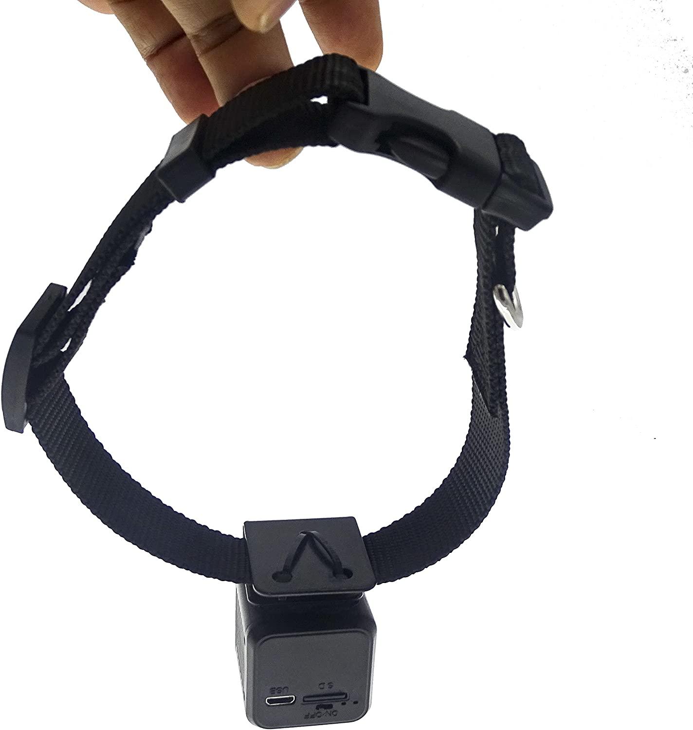 Pet Collar Camera DVR with 16GB TF Card Black Monitor & Record Your