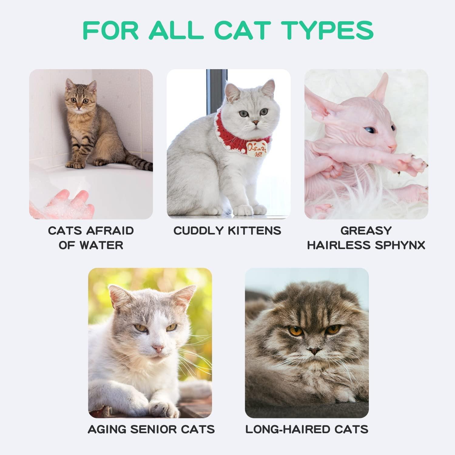 FAMOUS Cat Shampoo, Dry Shampoo for Dogs, Waterless Cat Shampoo