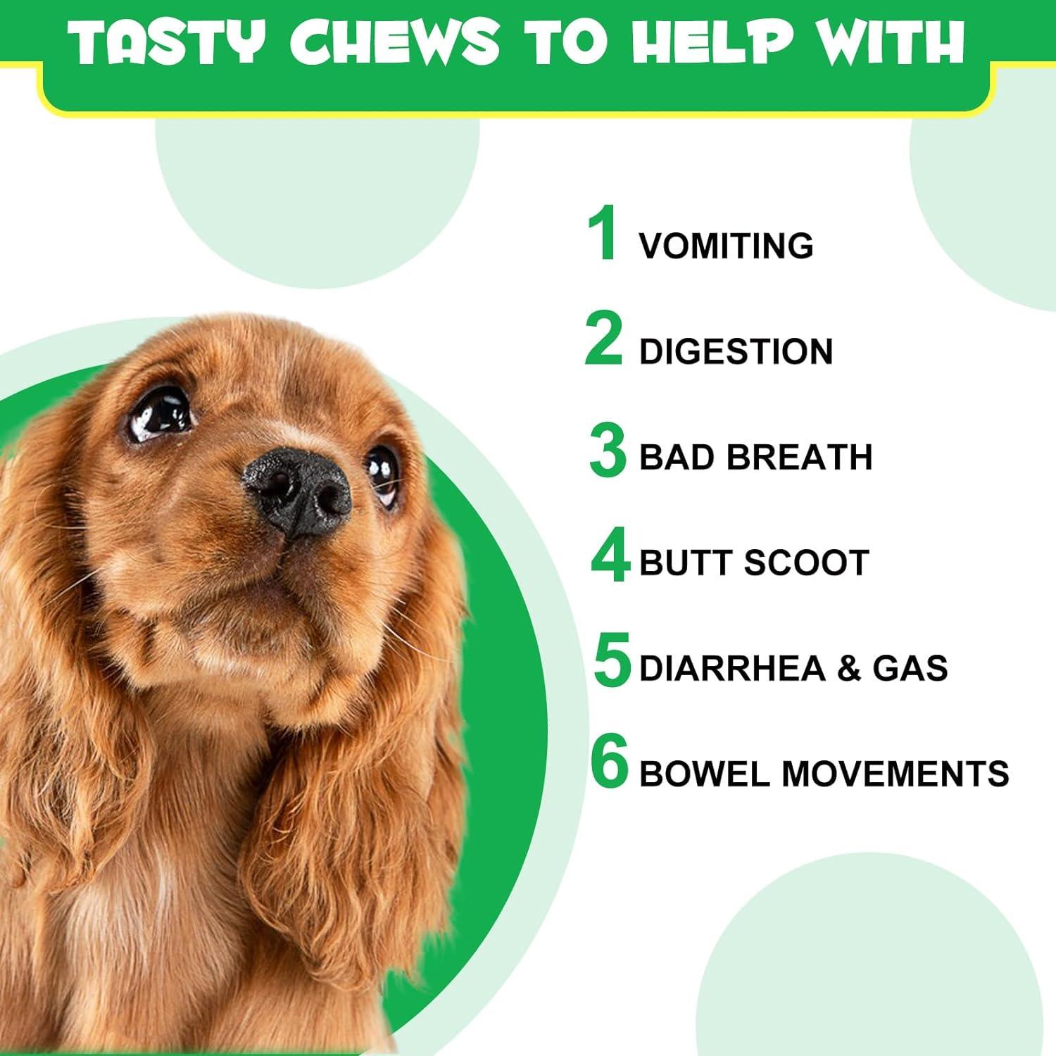 View of Probiotics for Dogs Dog Probiotics for Gut Health Pre & Probiotic ...