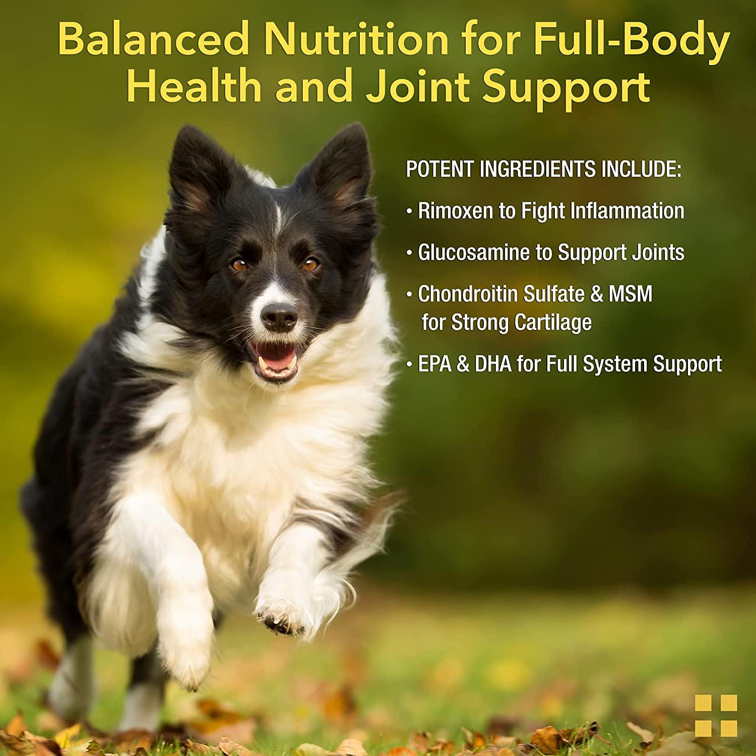 Animal Pharmaceuticals ZMUltra Complete Joint Support Soft Chews