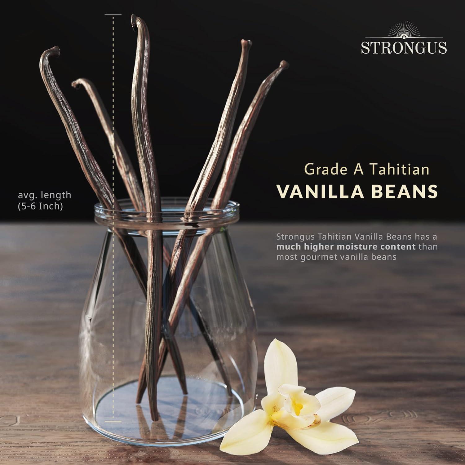 Strongus Large Tahitian Vanilla Beans Vacuum Sealed Grade B Vanilla