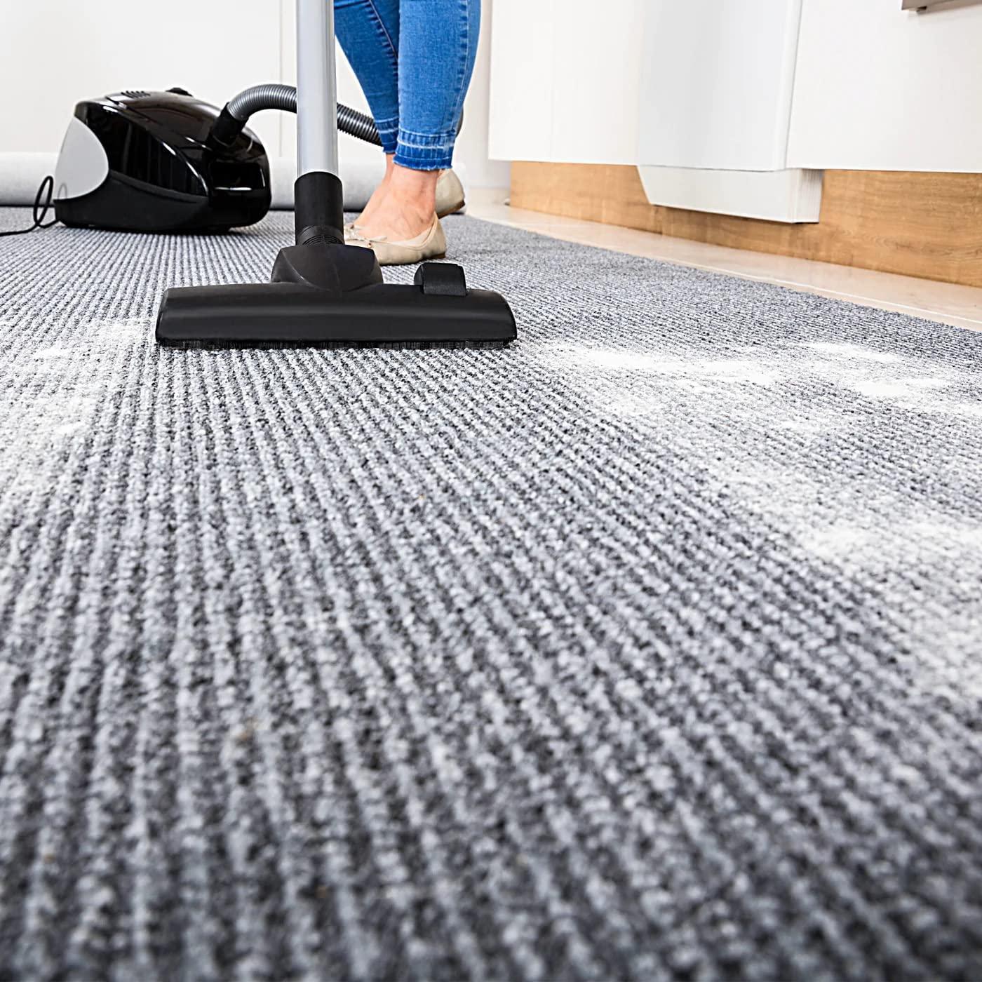 Enforcer Flea Killer for Carpets 20 Ounce (Pack of 2) EFKOB203