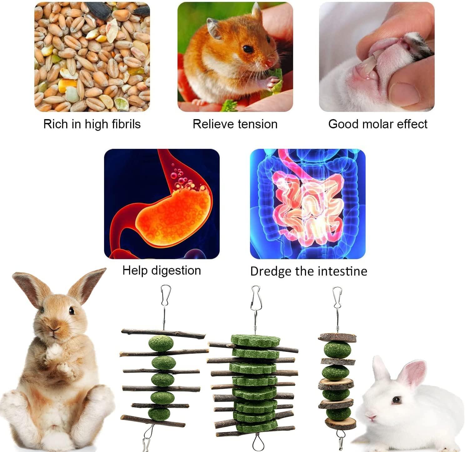 3 Pcs Bunny Teeth Grinding Chew Toys, Apple Branch Chewing Sticks with