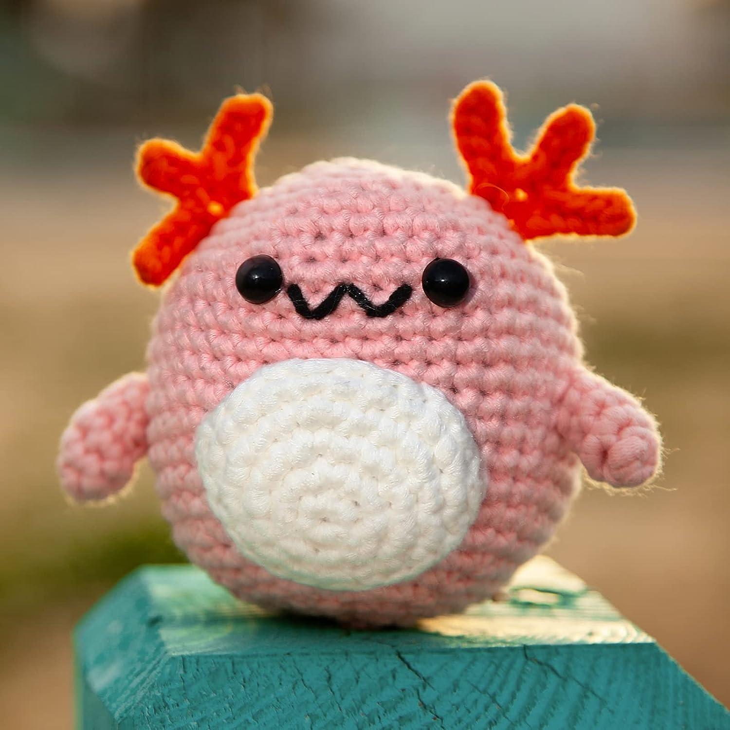 loveknotpop Crochet Kit for Beginners: Animal Crochet Kit for Adults, Kids,  Teens, Cute Axolotl, Include All You Need, Easy Knitting Soft Yarn,  Step-by-Step Tutorial, Birthday Easter Mother Day Gift.