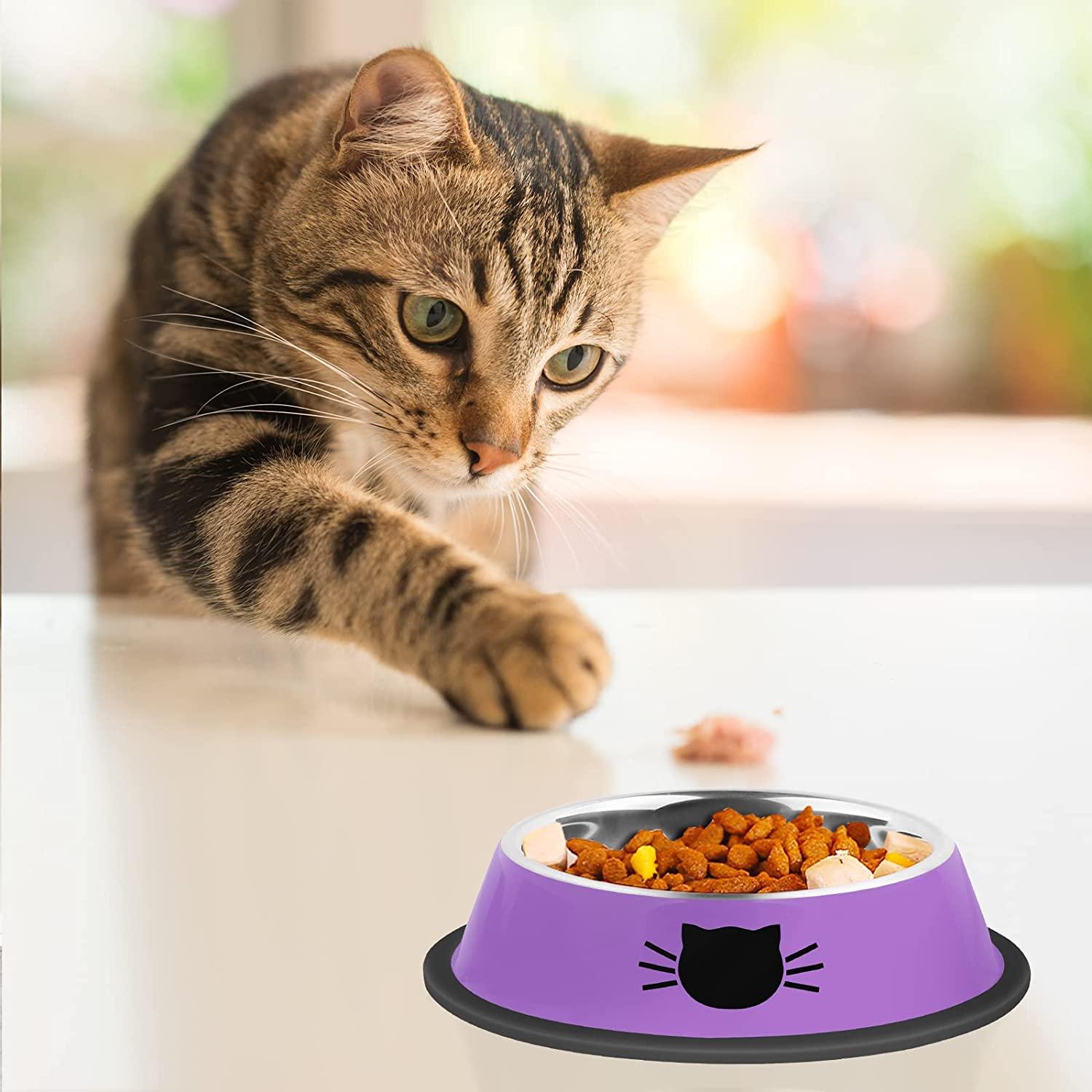 Serentive Non-Slip Stainless Steel Cat Bowls Set of