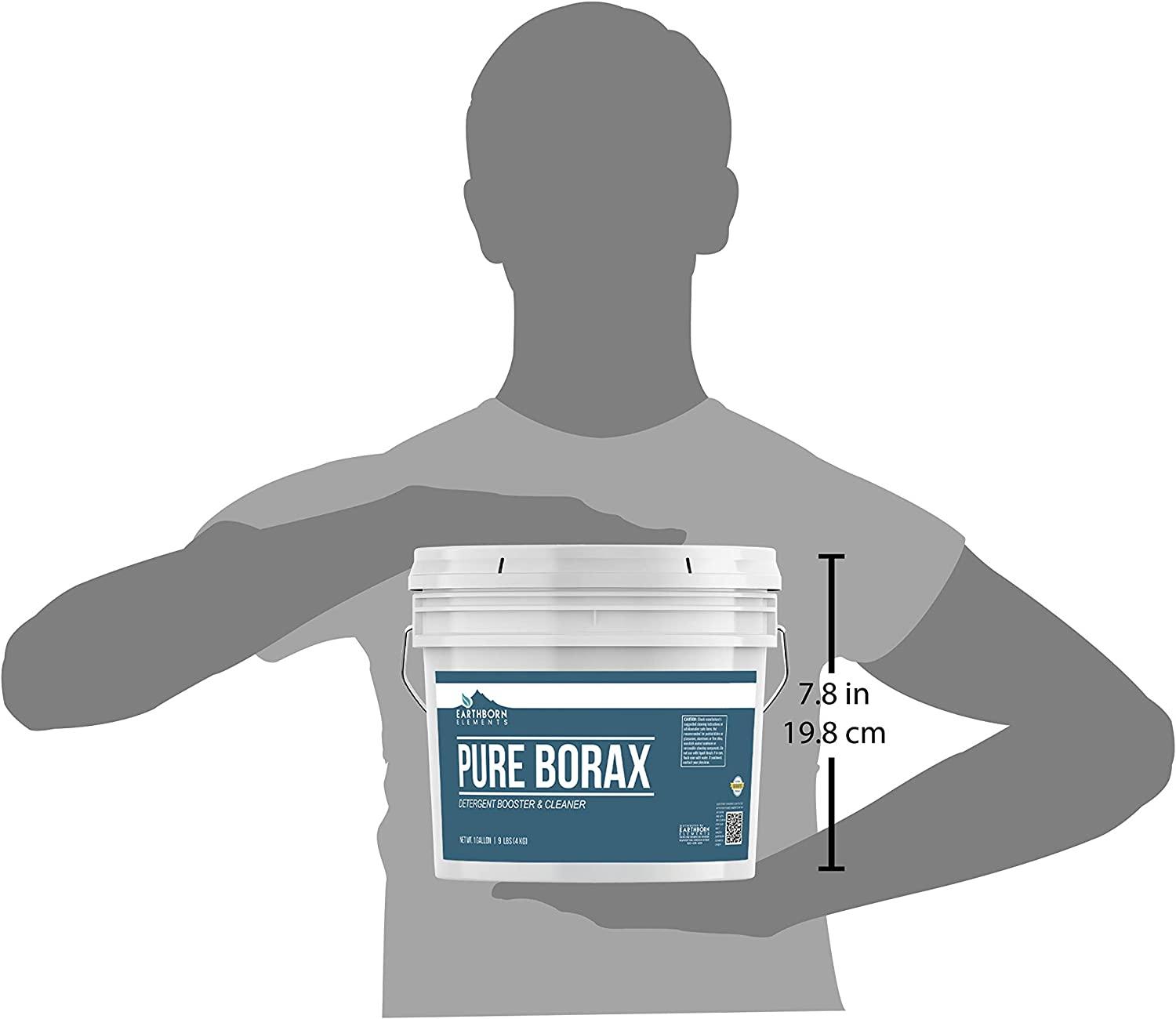 Earthborn Elements Borax Powder (1 Gallon), Multipurpose Cleaner