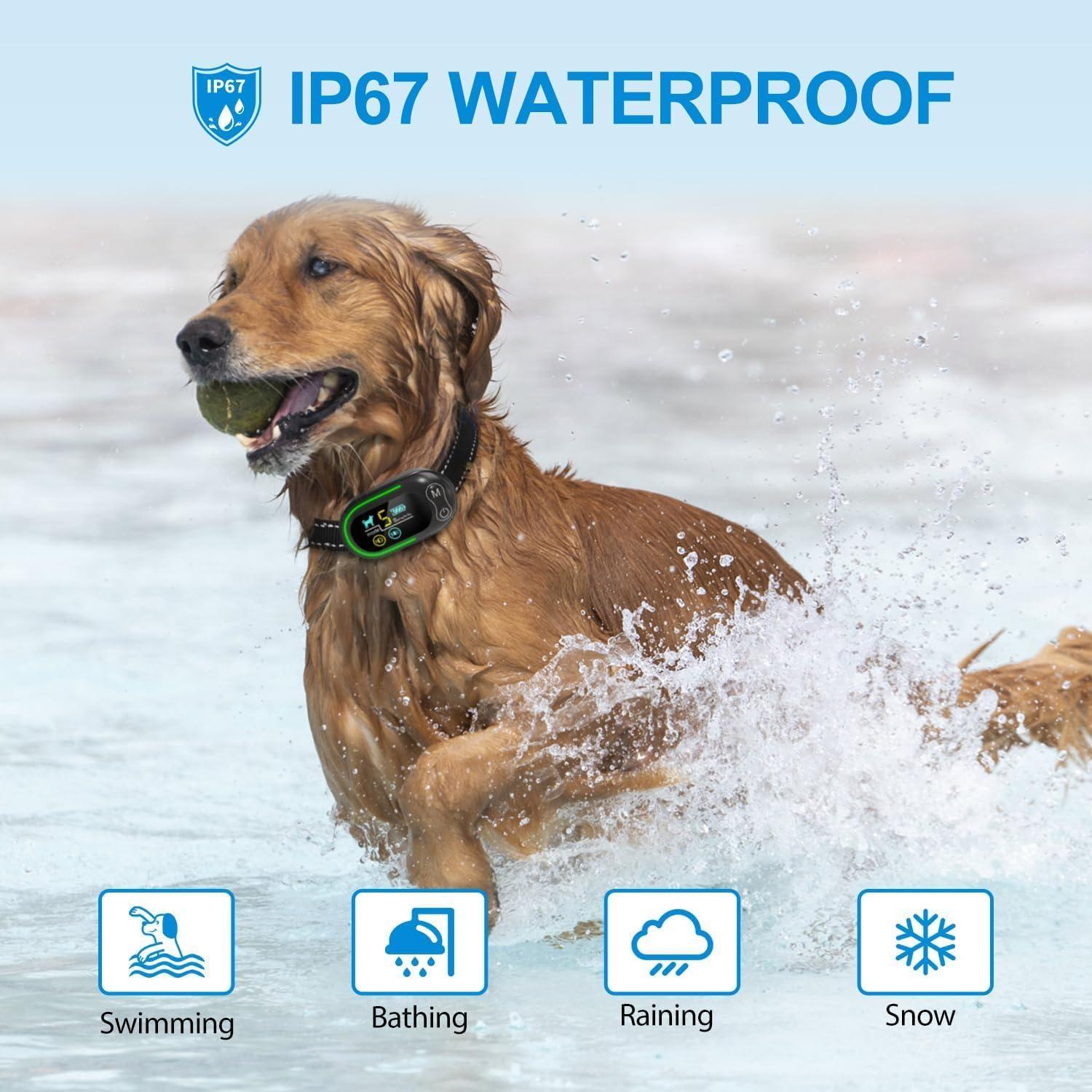 Dog Training Collars Best Bark Collar For Stubborn Dogs Dogtra