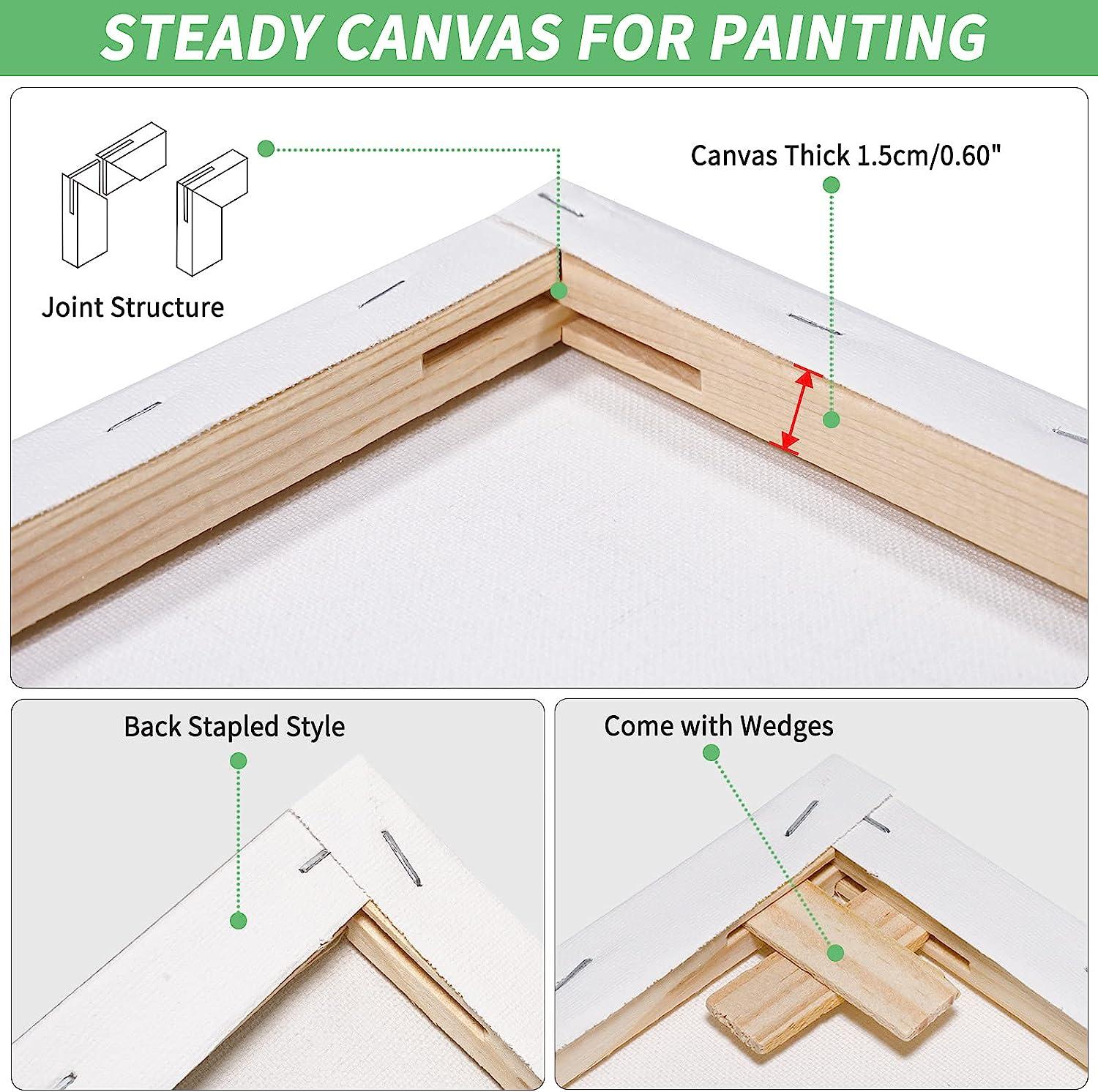 Stretched Canvas 6x8 8x10 10x12 12x16 8 Set Artist Canvase Frame