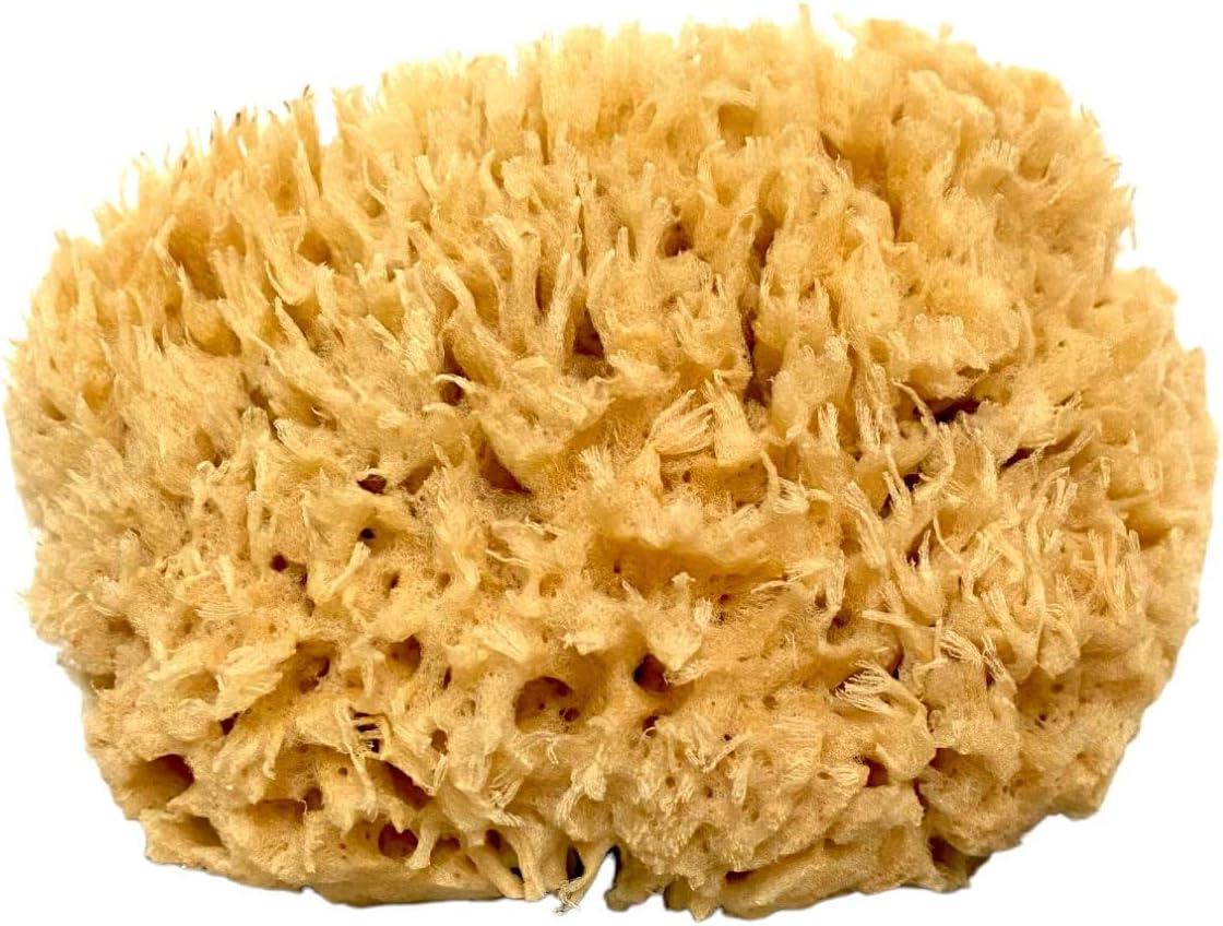 Natural Sea Sponge – Tofino Soap Company ®