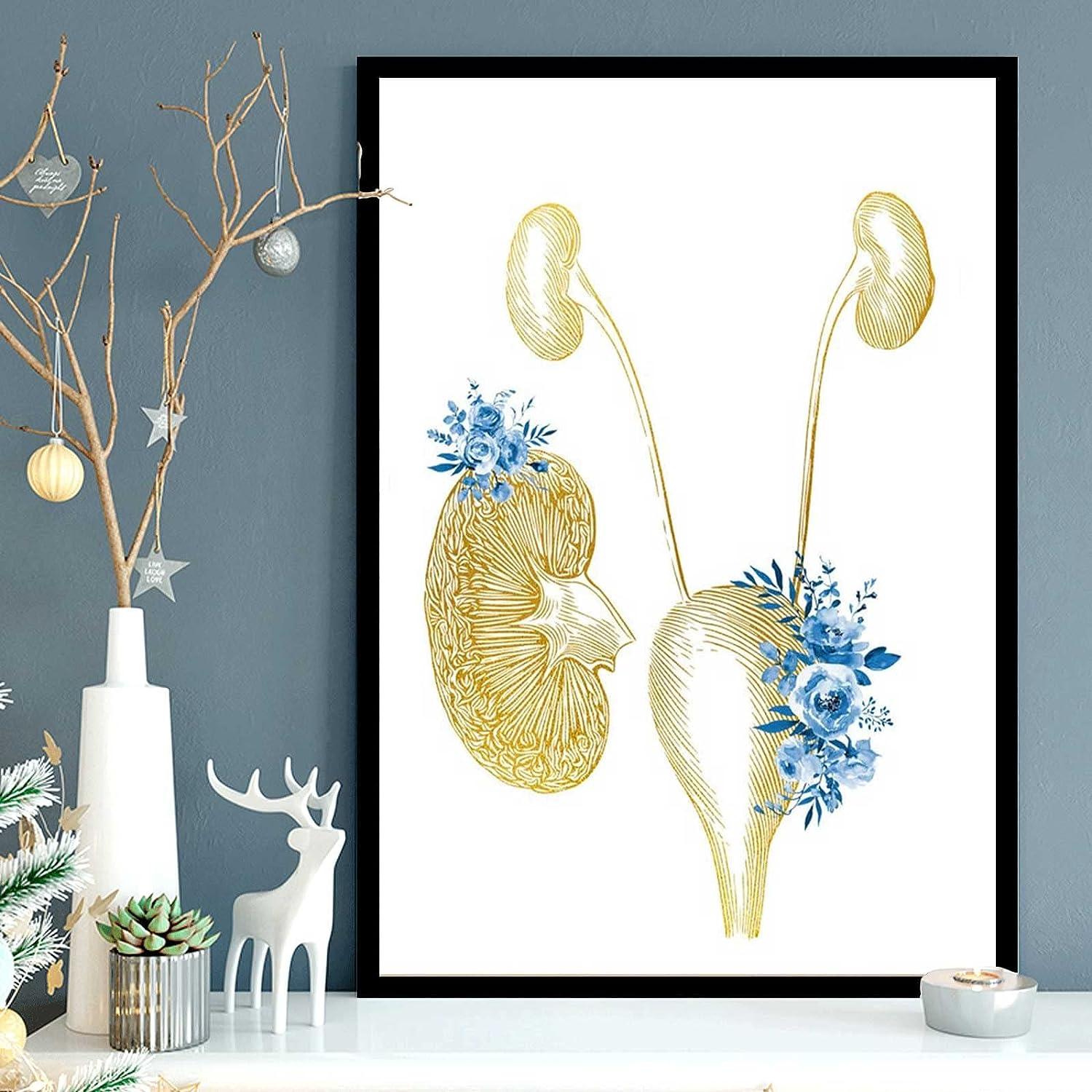 medical educational poster Urinary system Urinary Tract Nephrology