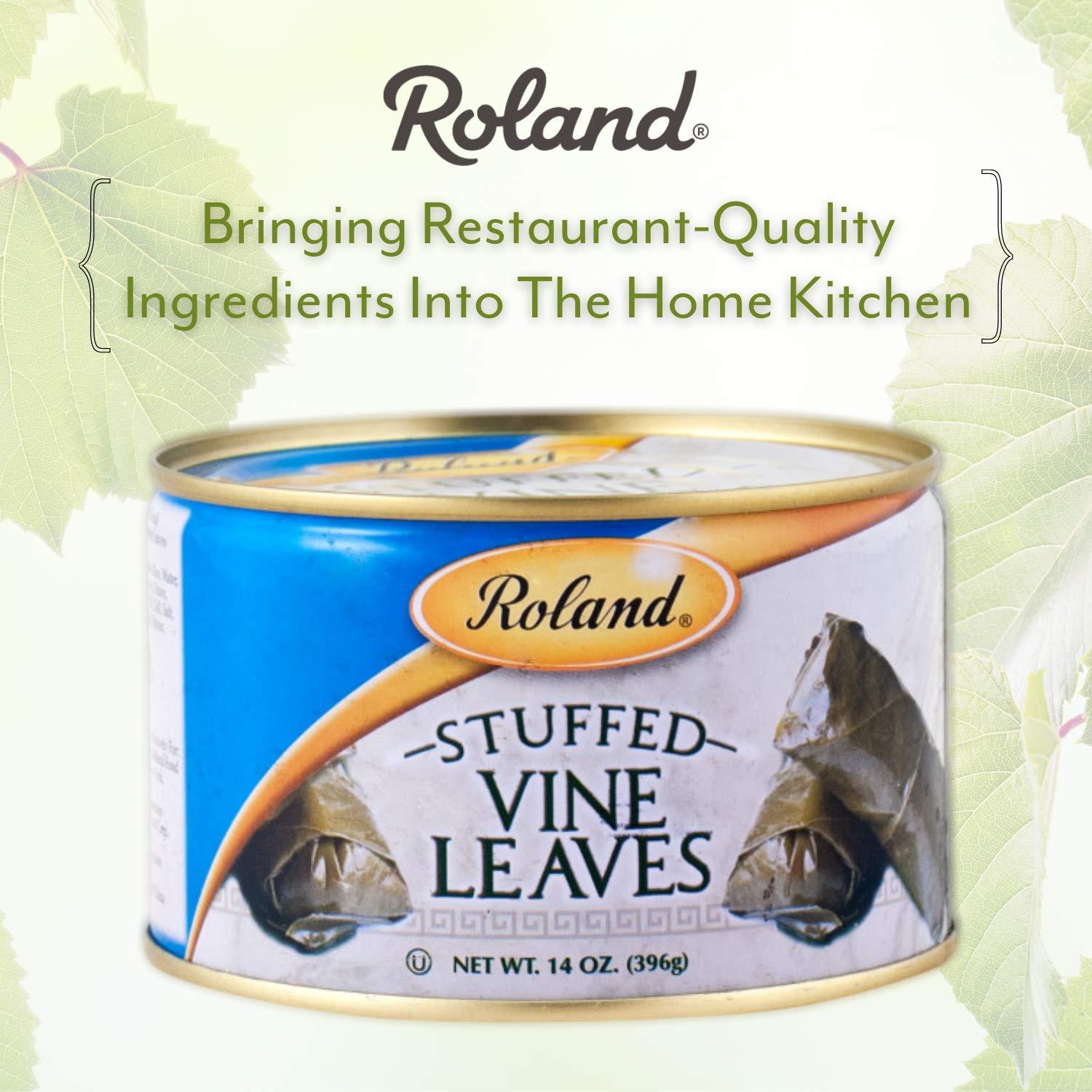 Roland Foods Canned Dolmas, Stuffed Vine Leaves with Rice and Spices