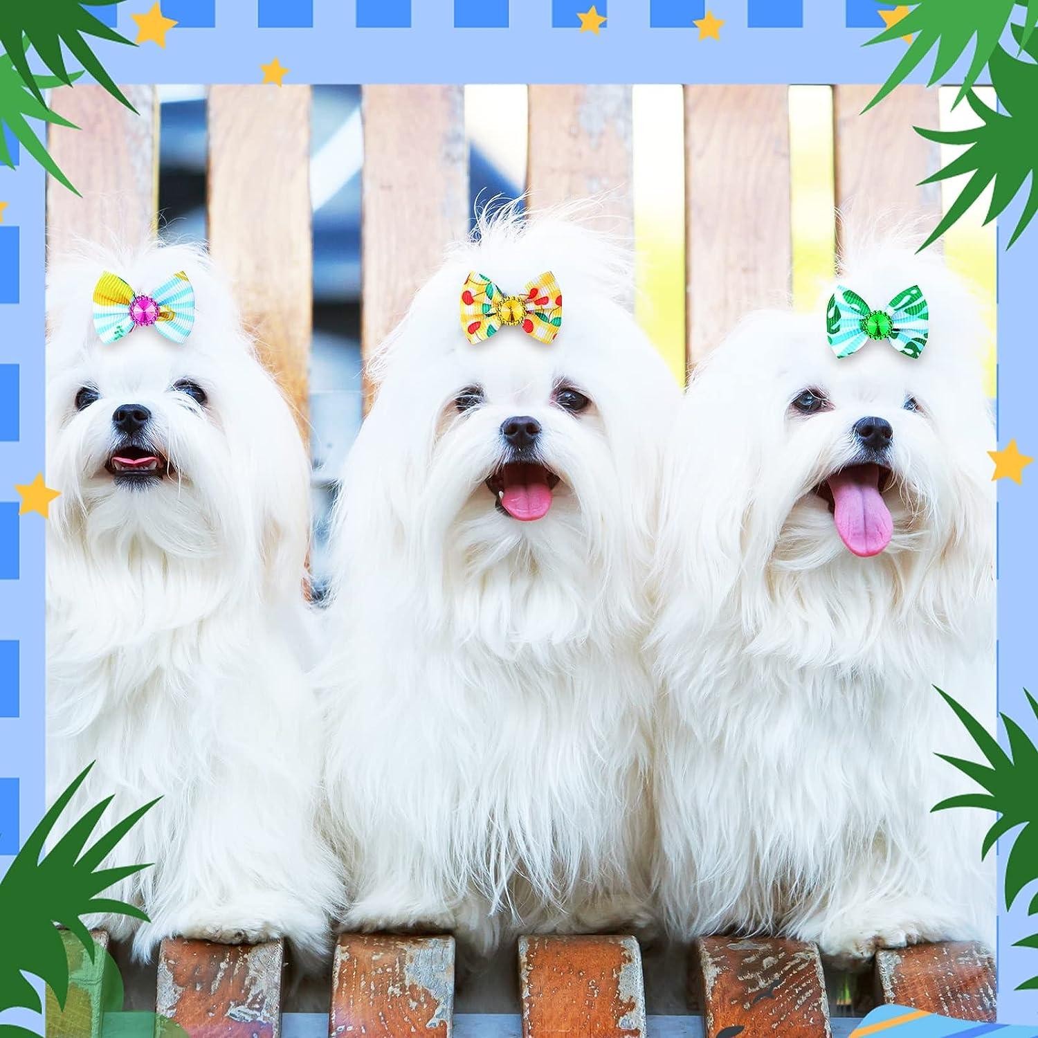 240 Pcs Summer Dog Hair Bows Holiday Dog Bows Rhinestone Grooming