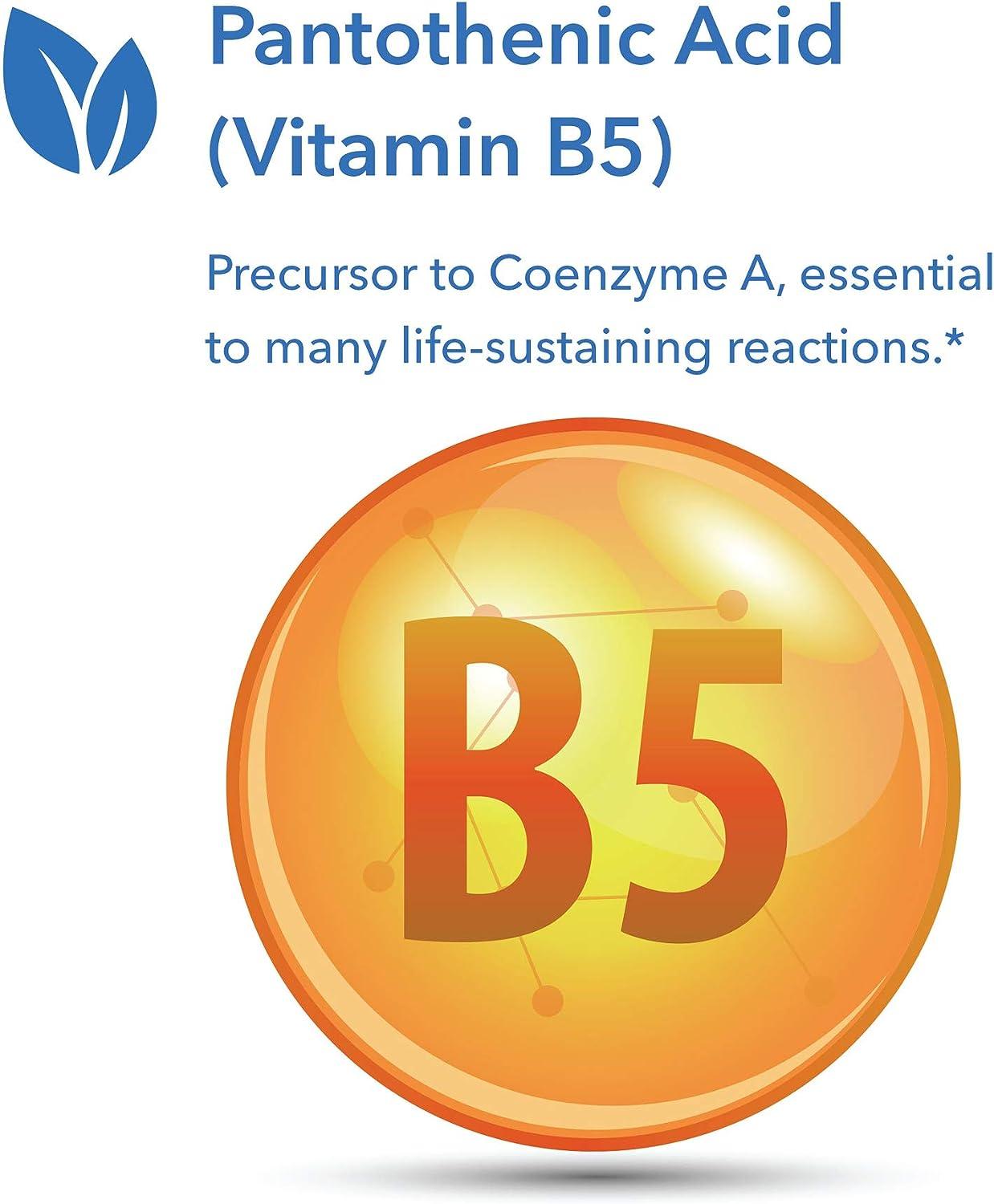 Pantothenic Acid (Vitamin B5) 90 Vegetarian Capsules Supports