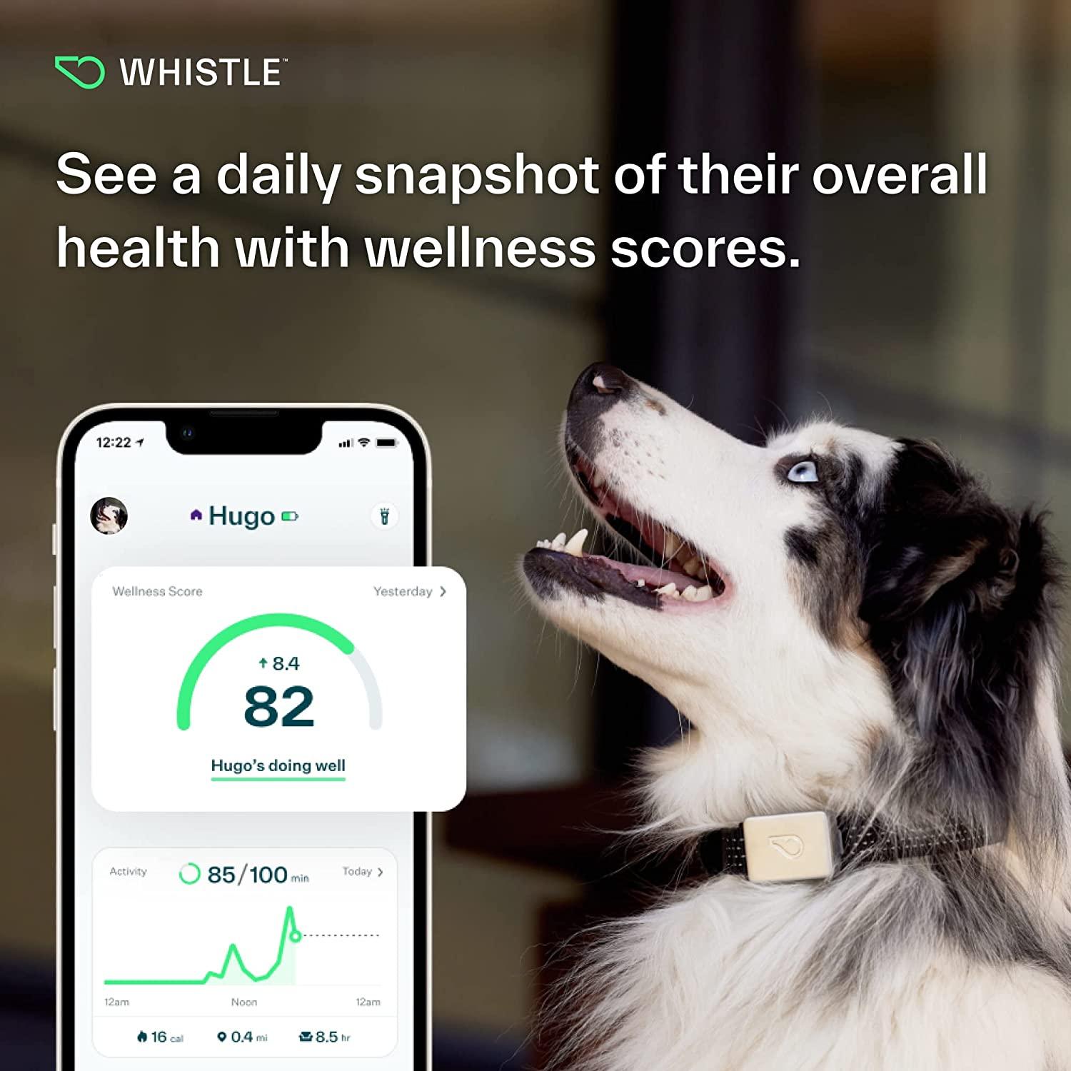 Dog health tracker 2025