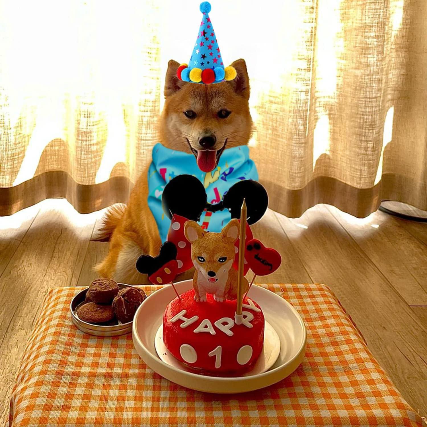 Dog Birthday Party Supplies Dog Girl Birthday Bandanas Set With Dog Birthday Hat Scarf Birthday Banner Balloons Bowtie Puppy Dog Pals Birthday Party Decor