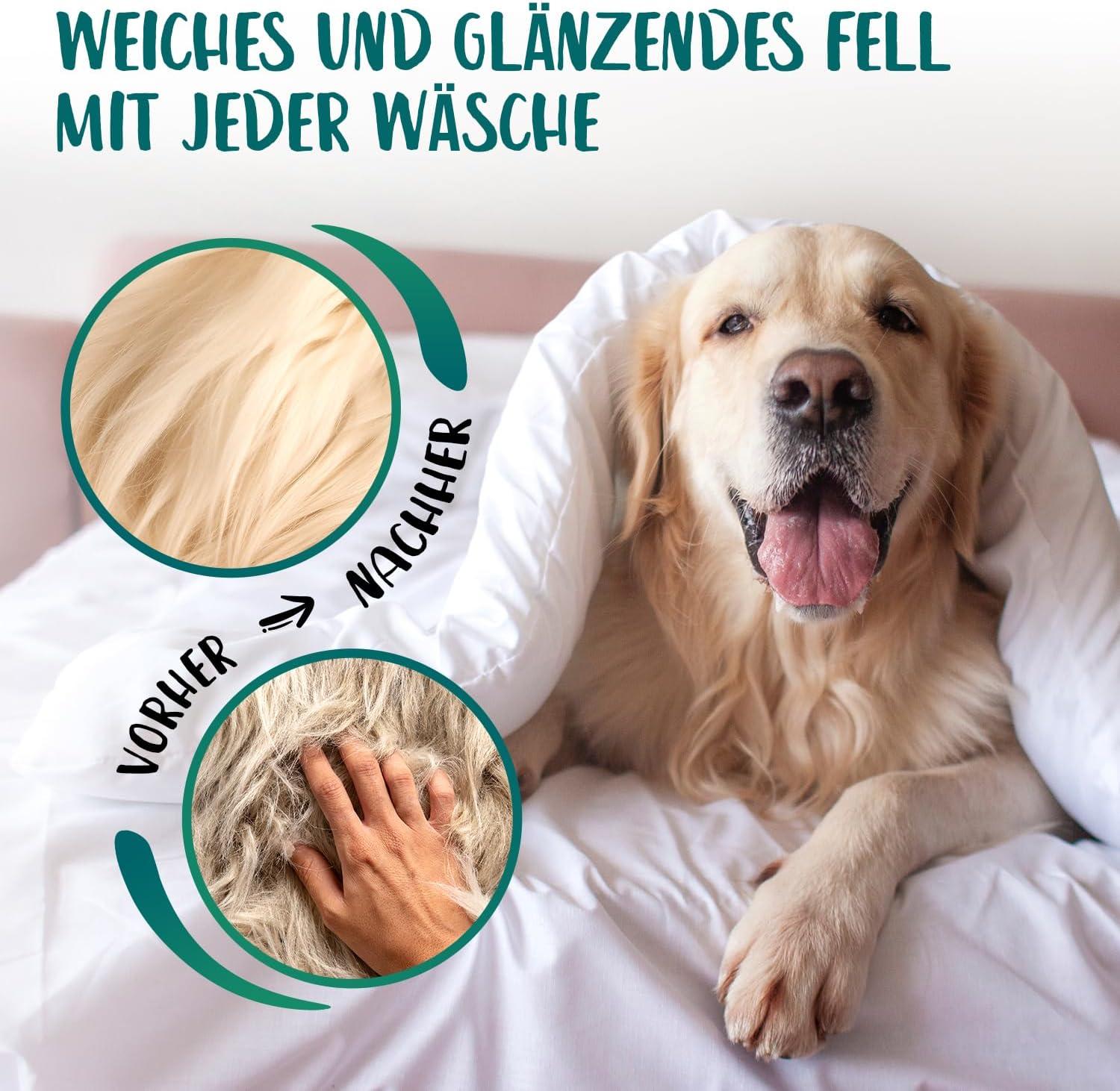 Hello Jack Natural Dog Shampoo - Gentle Aloe Vera & Chestnut Formula for  Dogs Puppies & Cats - Eliminates Odor & Promotes Soft Shiny Fur | Buy Now  with Express International Delivery | GoSupps.com