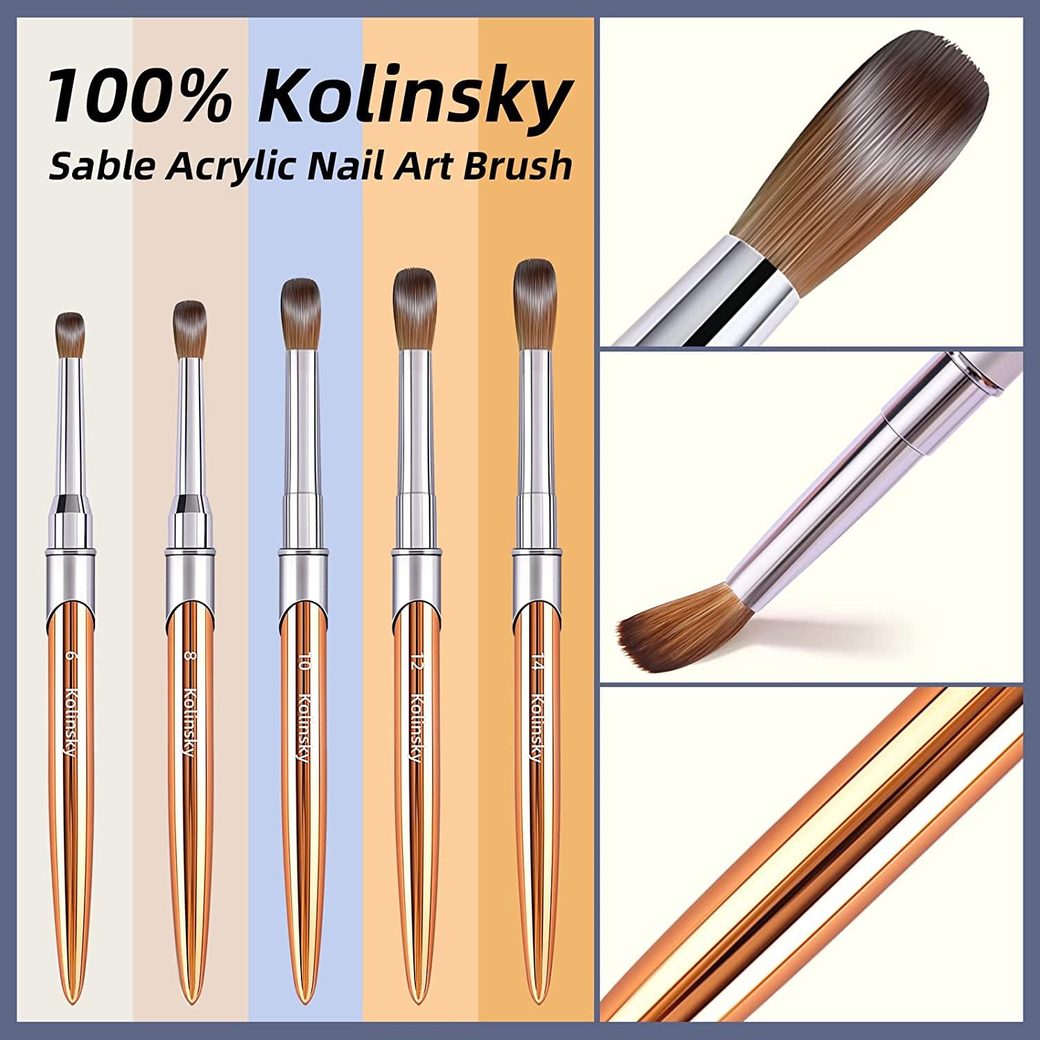 GetUSCart- Saviland 3pcs Acrylic Nail Brush Set - 3D Nail Art Brush Size  2/4/6 Nail Carving Nail Extension with Acrylic Powder, 3D Brush for Acrylic  Nails Zebra handle Kolinsky Acrylic Brush