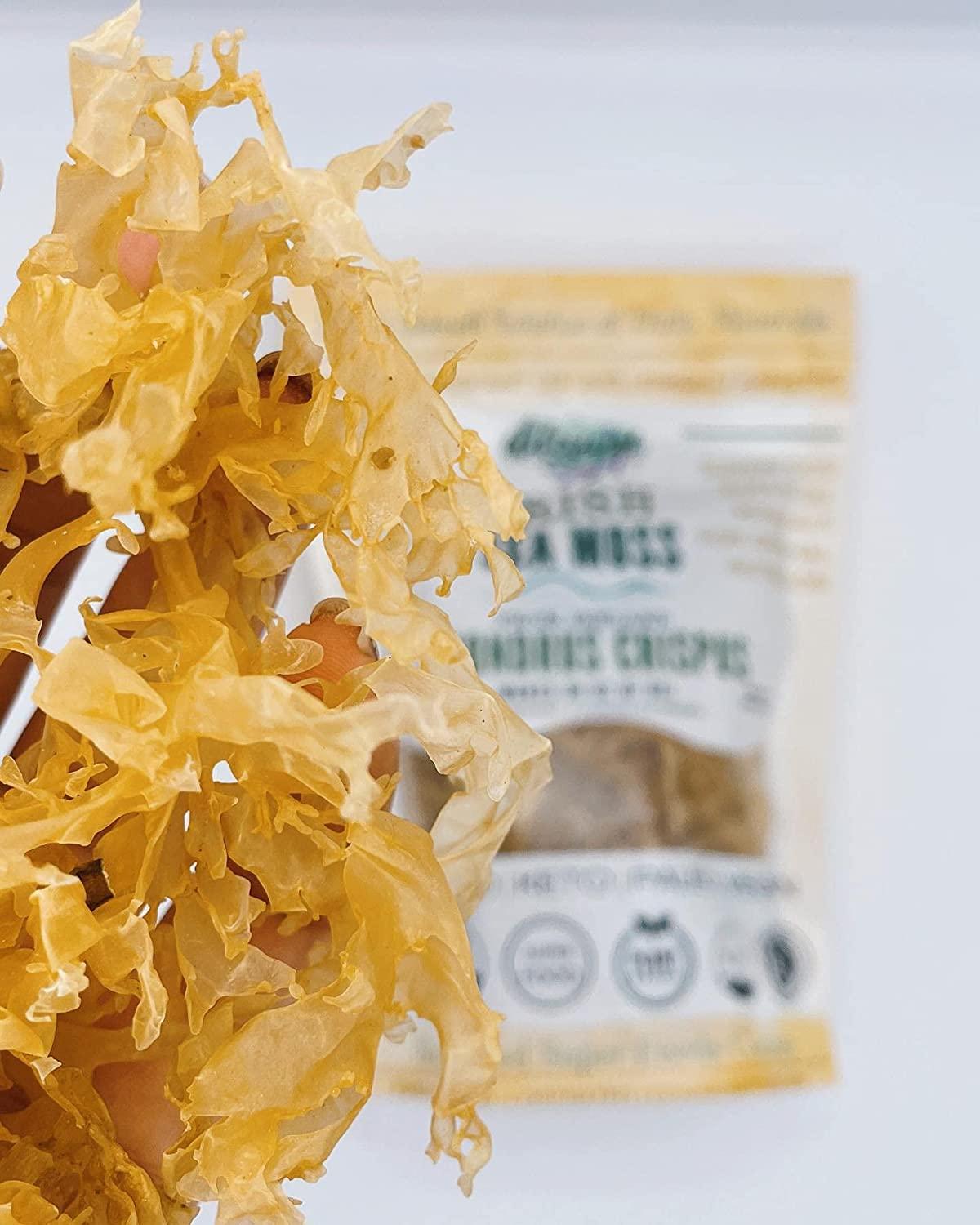 Wildcrafted Sea Moss Raw From Saint Lucia - Makes 20oz Gel