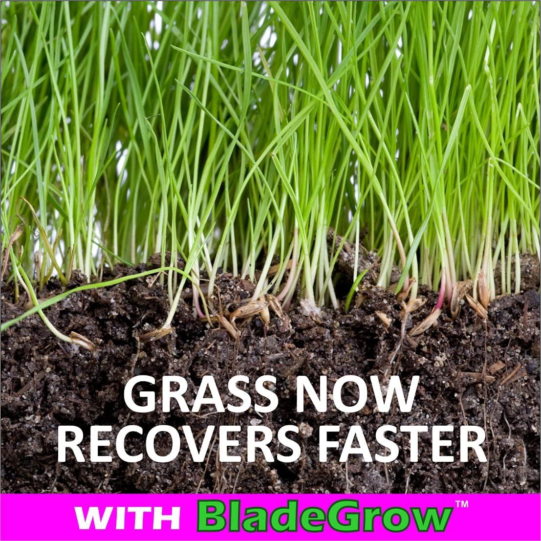 Dog Urine Neutraliser For Grass Dog Urine Grass Repair Lawn Patch