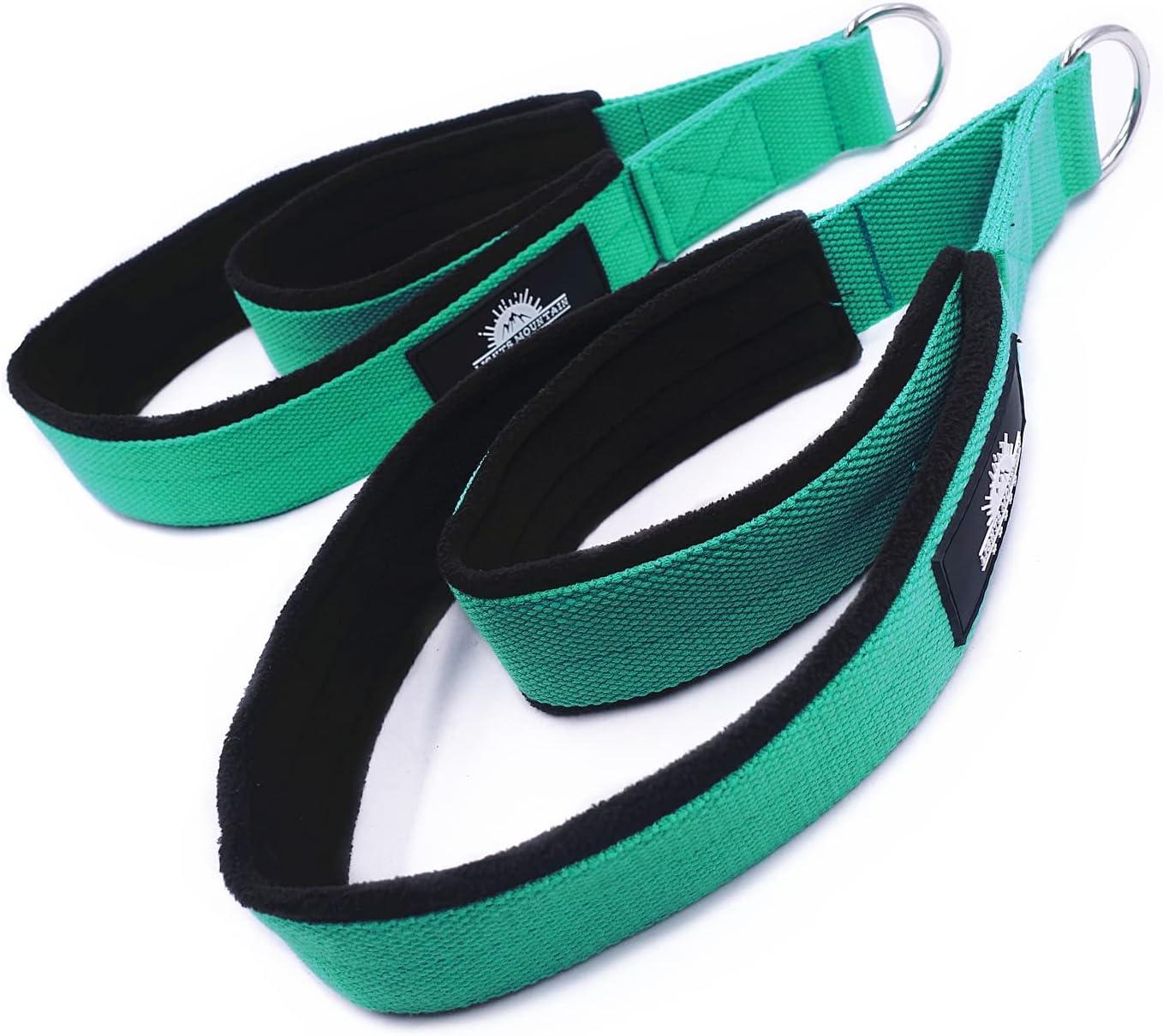 Lights Mountain 1 Pair Pilates Double Loop Straps for Reformer Fitness D-Ring  Straps Handle, Yoga Exercise Accessories for Home Gym Workout lakegreen  size M