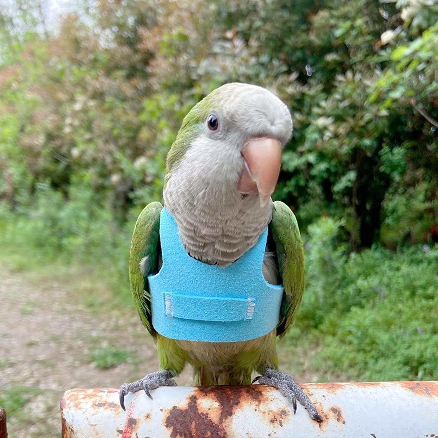 Bird Flight Harness Vest, Parrot Flight Suit with Leash for Parakeets Cockatiels Conures Budgies