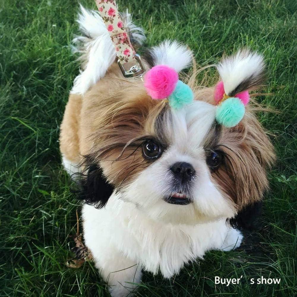 Mruq Pet 100pcs Small Dog Hair Pom Pom Bows with Rubber Bands