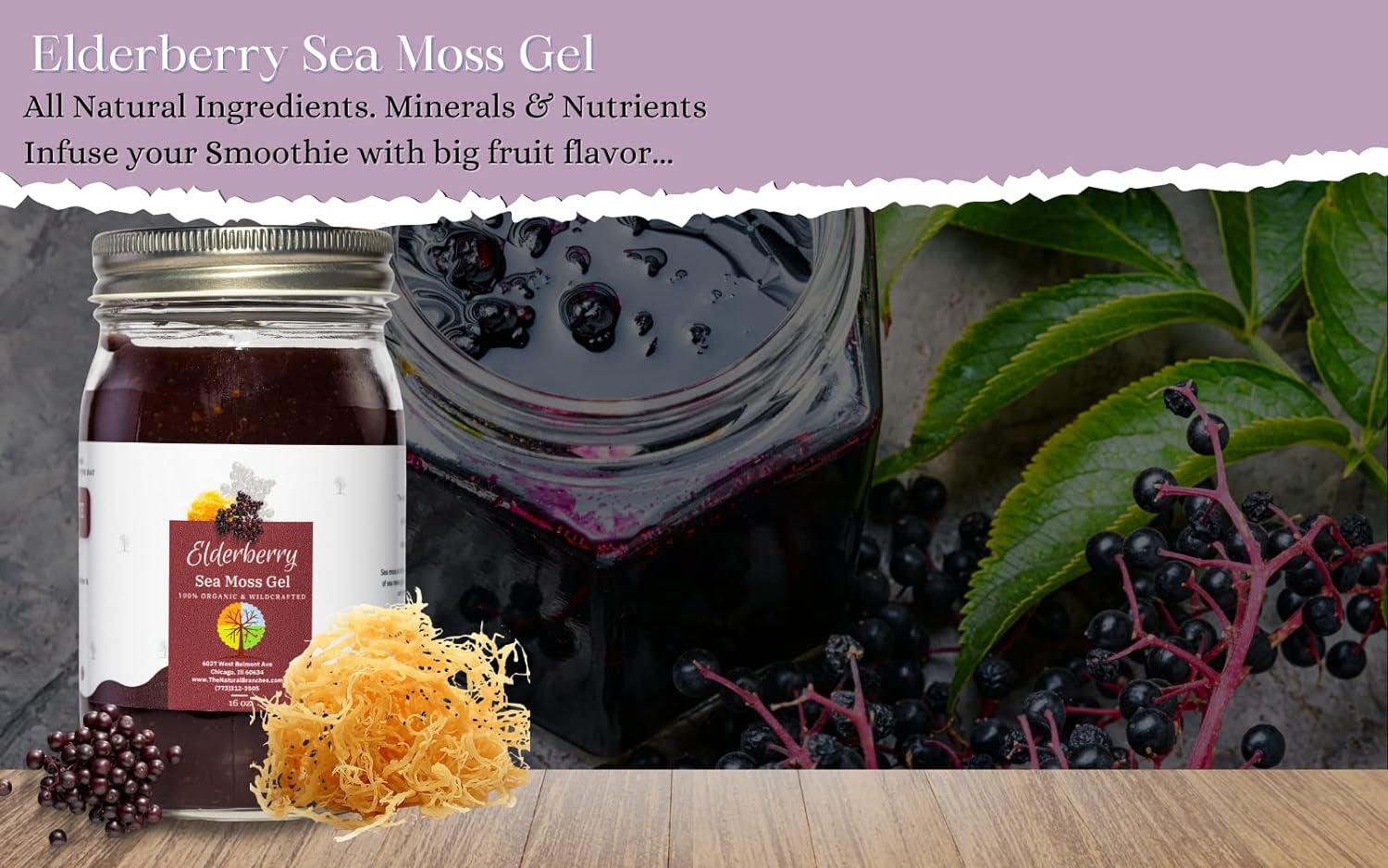 Organic Sea Moss Gel (Mango-Pineapple) - LARGE 16 OZ - Real Fruit -  Wildcrafted Sea Moss 