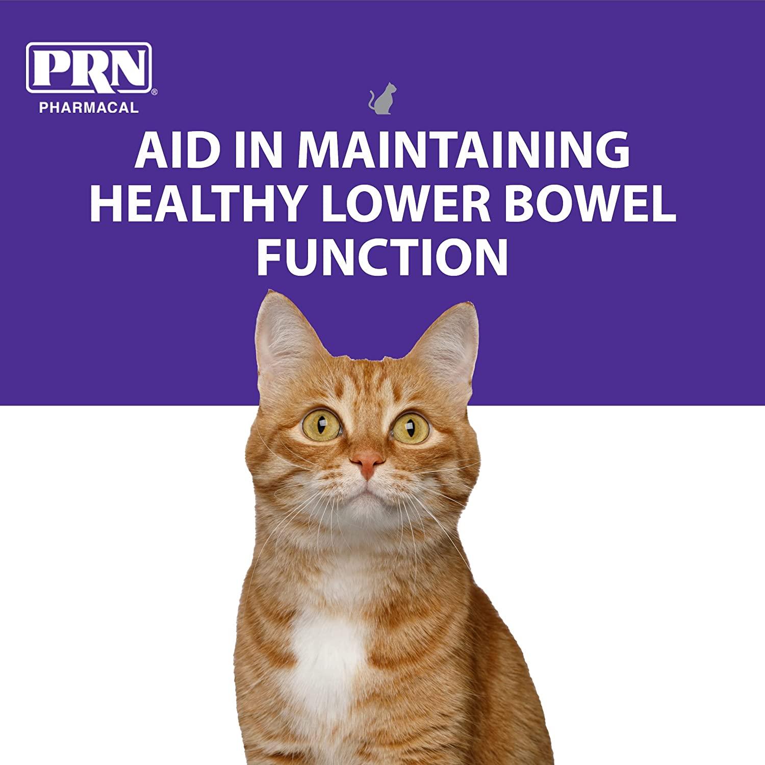 PRN Pharmacal PetEma Disposable Single Use Enema for Cats & Kittens