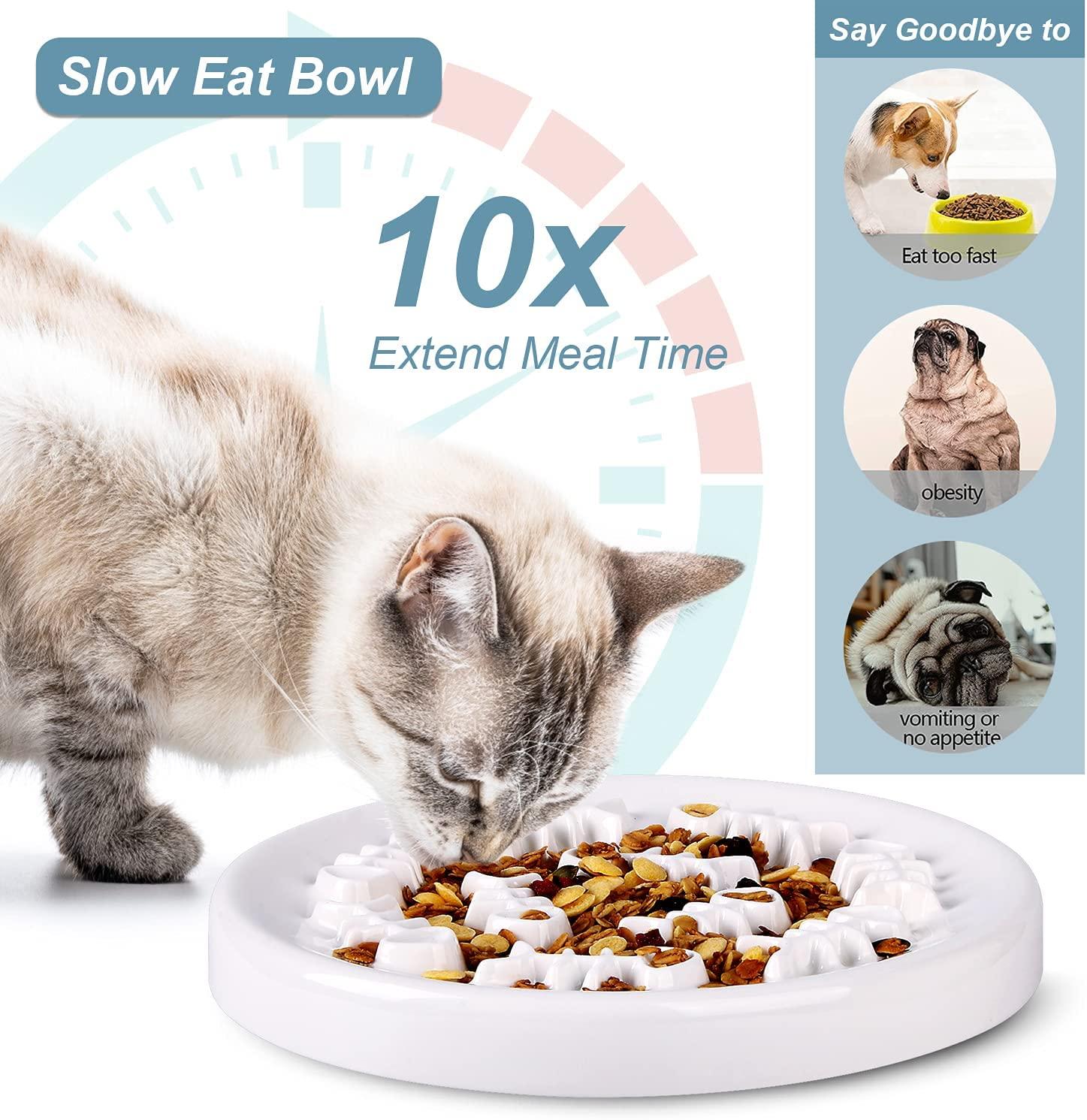 Cat bowls for fast deals eaters