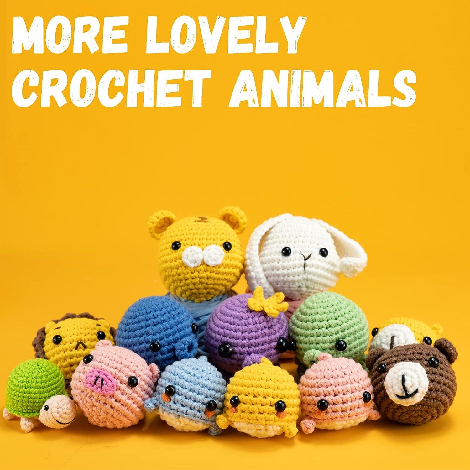 Beginner Crochet Kit, Crochet Kits for Kids and Adults, 3PCS Crochet