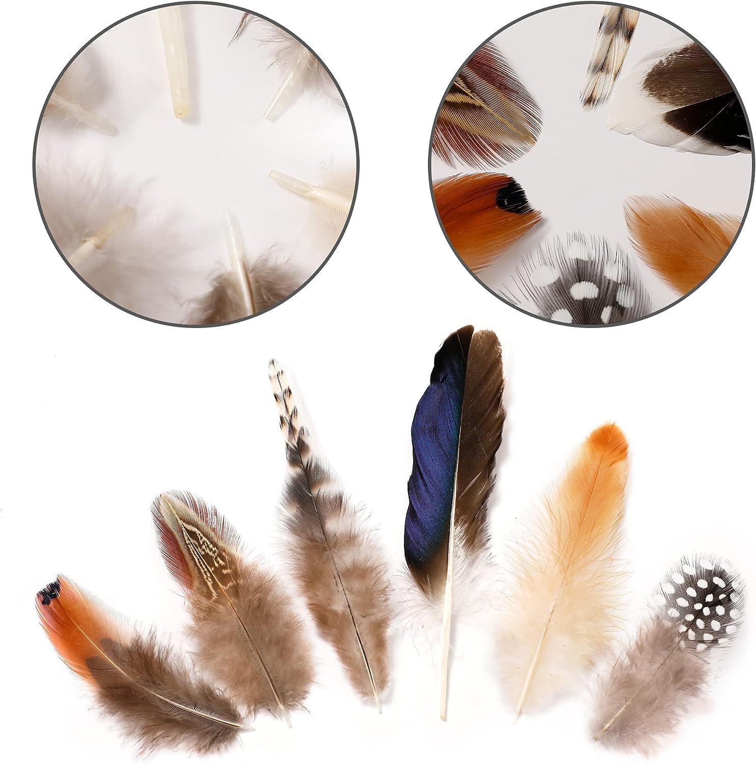 Larryhot Natural Pheasant Craft Feathers - 240 pcs 6 Style Mixed