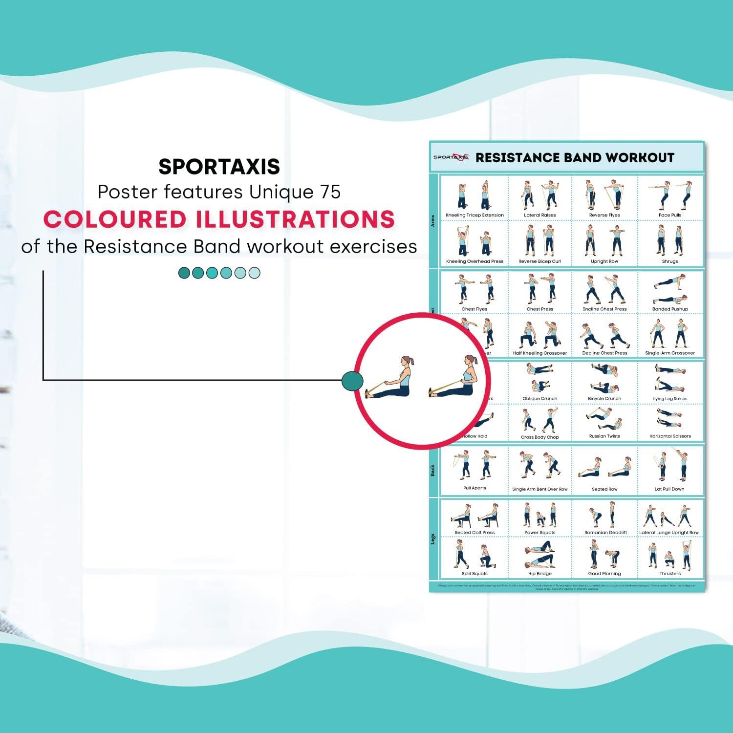 SPORTAXIS- Core Workout Poster With Coloured Illustrations- No-Equipment Laminated Home Training