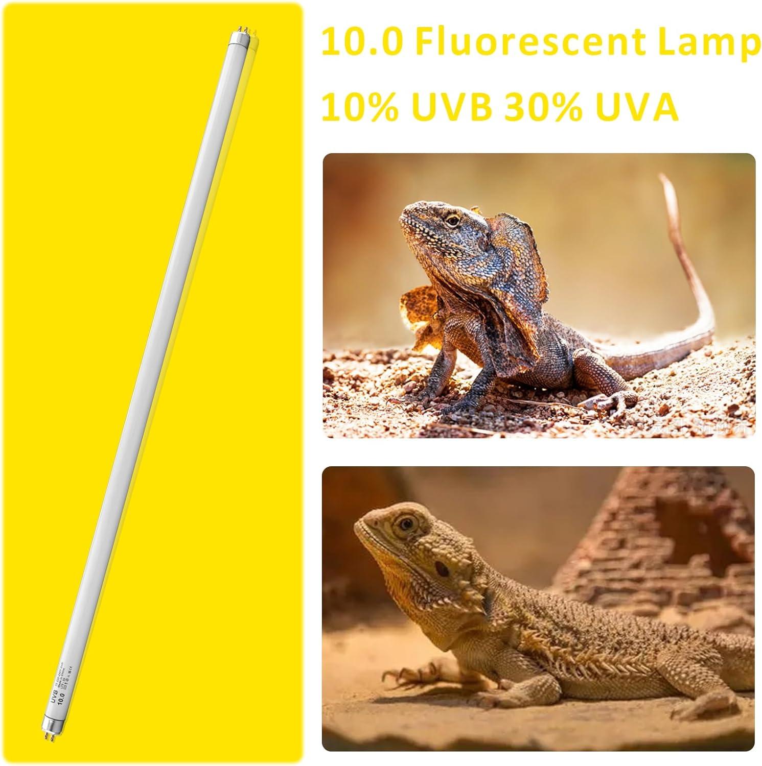 Bearded Dragon Lights Uvb And Heat T5 HO UVB Lighting Combo Kit