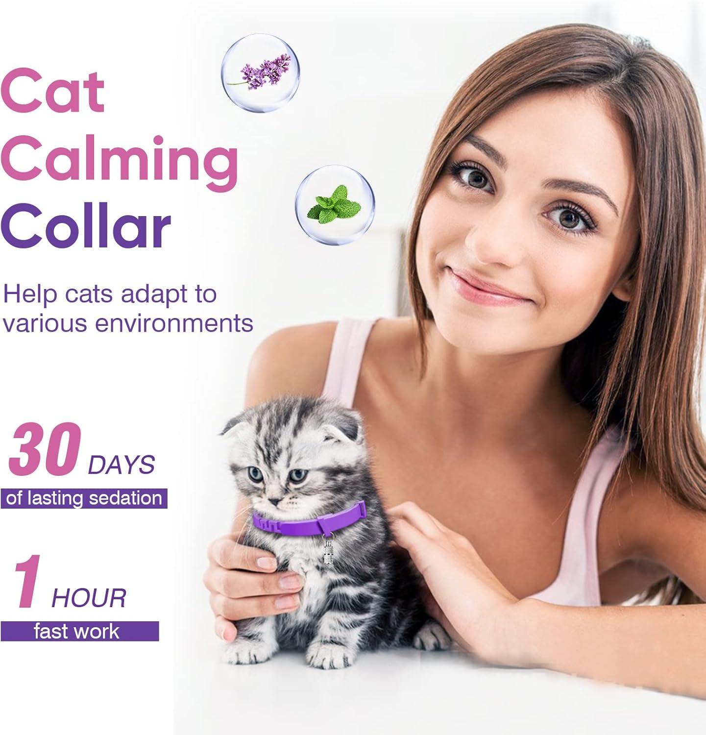 A closer look at Anti-Anxiety-Cat-Calm-Products