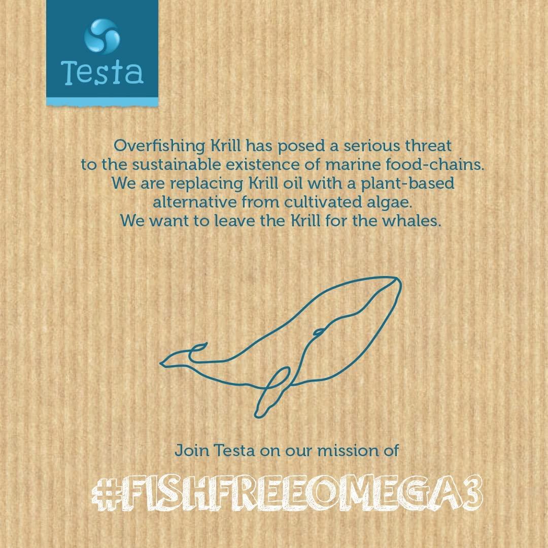 Vegan Omega 3 Krill Supplement DHA EPA PlantBased Omega 3 100 Vegan