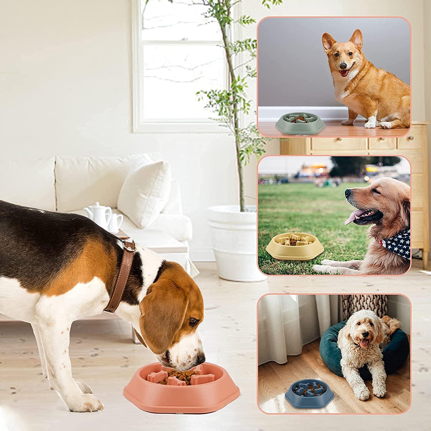 Travelwant Dog Bowl Slow Feeder Dog Food Dish Dogs Feeding Puzzle  Anti-Gulping Slow Eating Dog Bowl for Fast Eaters 