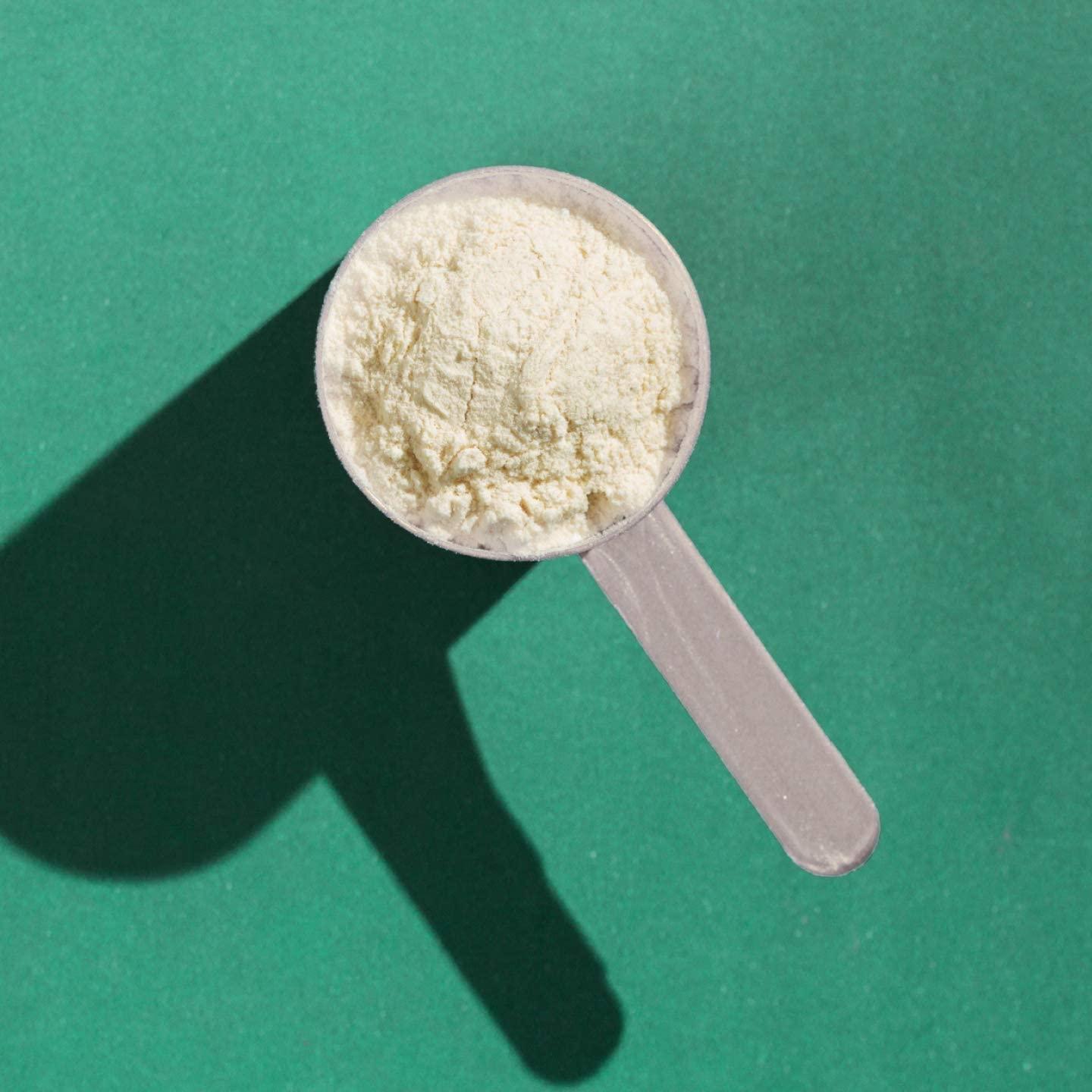 TOPBiT AllinOne Plant Protein Powder, Vanilla Flavor Vegan Protein