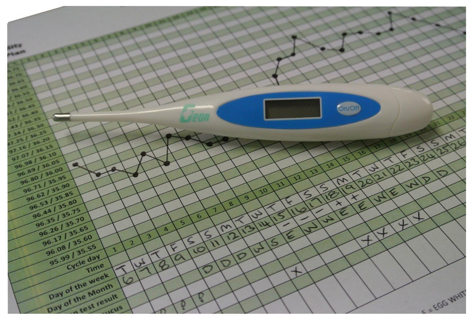 Fahrenheit Digital Ovulation Body Temperature Thermometer 2 Decimal