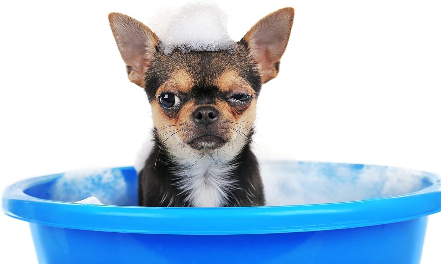 Banana Dog Shampoo & Conditioner In One 1 LITRE Professional Grooming